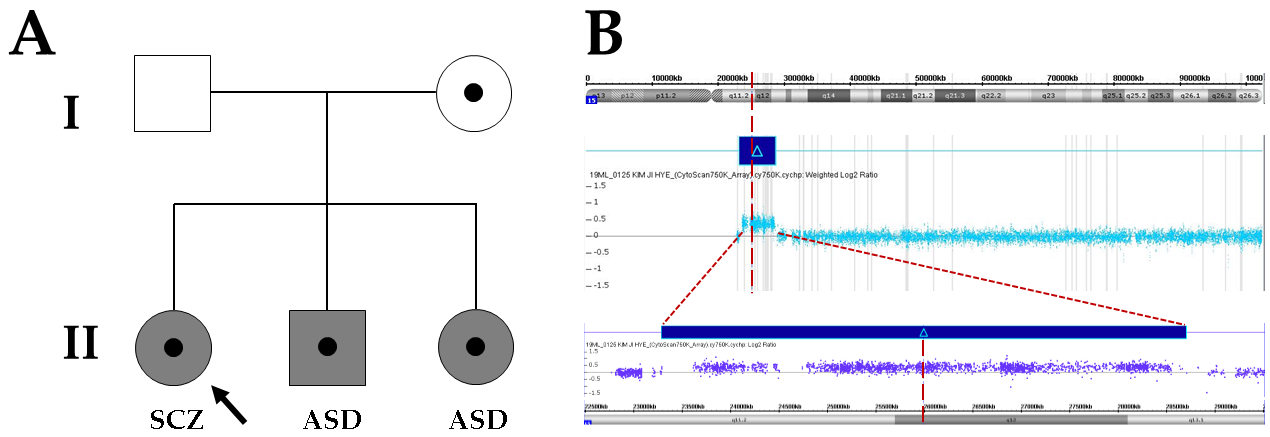 Children 08 00313 g001