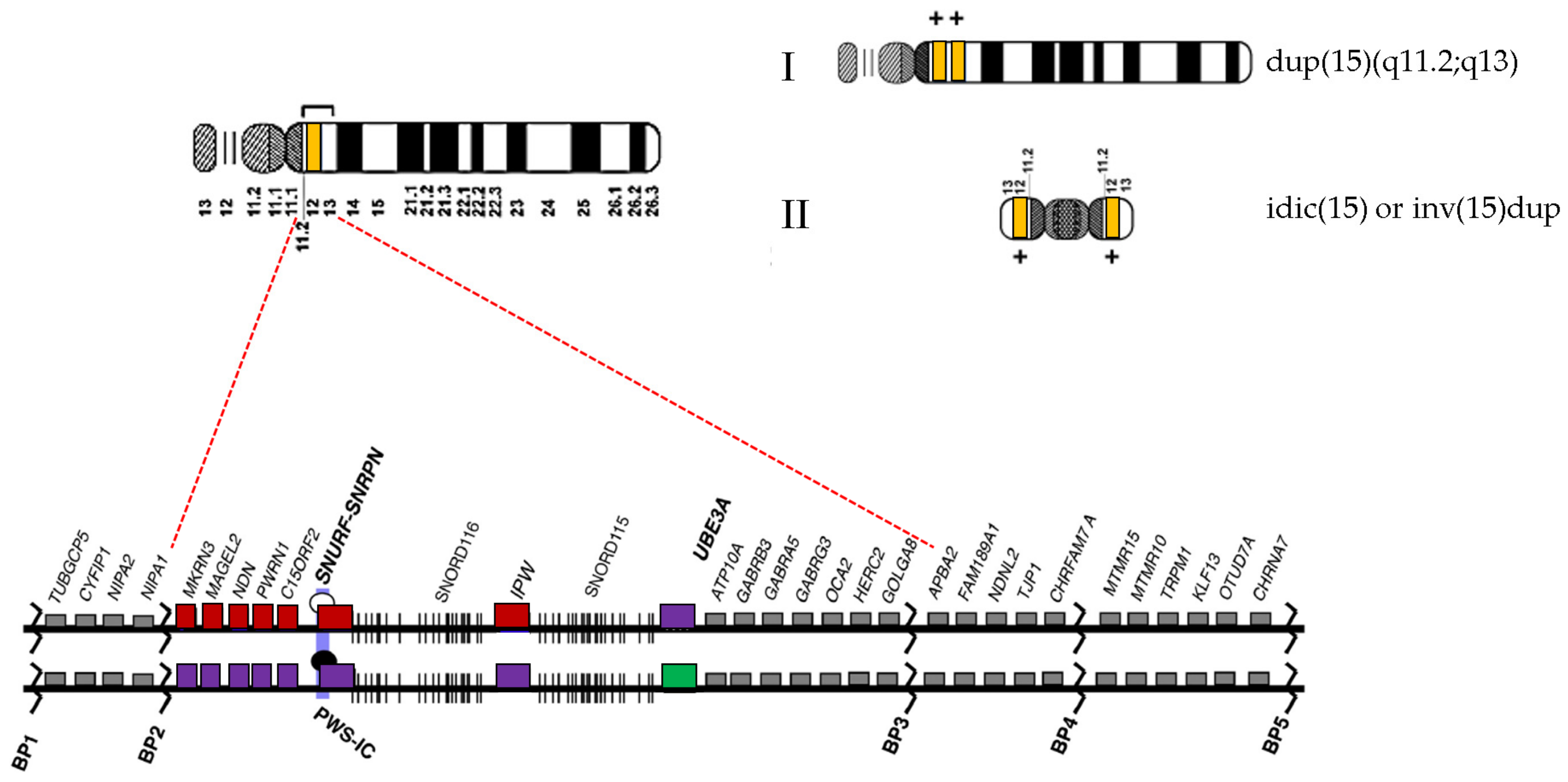 Children 08 00313 g002