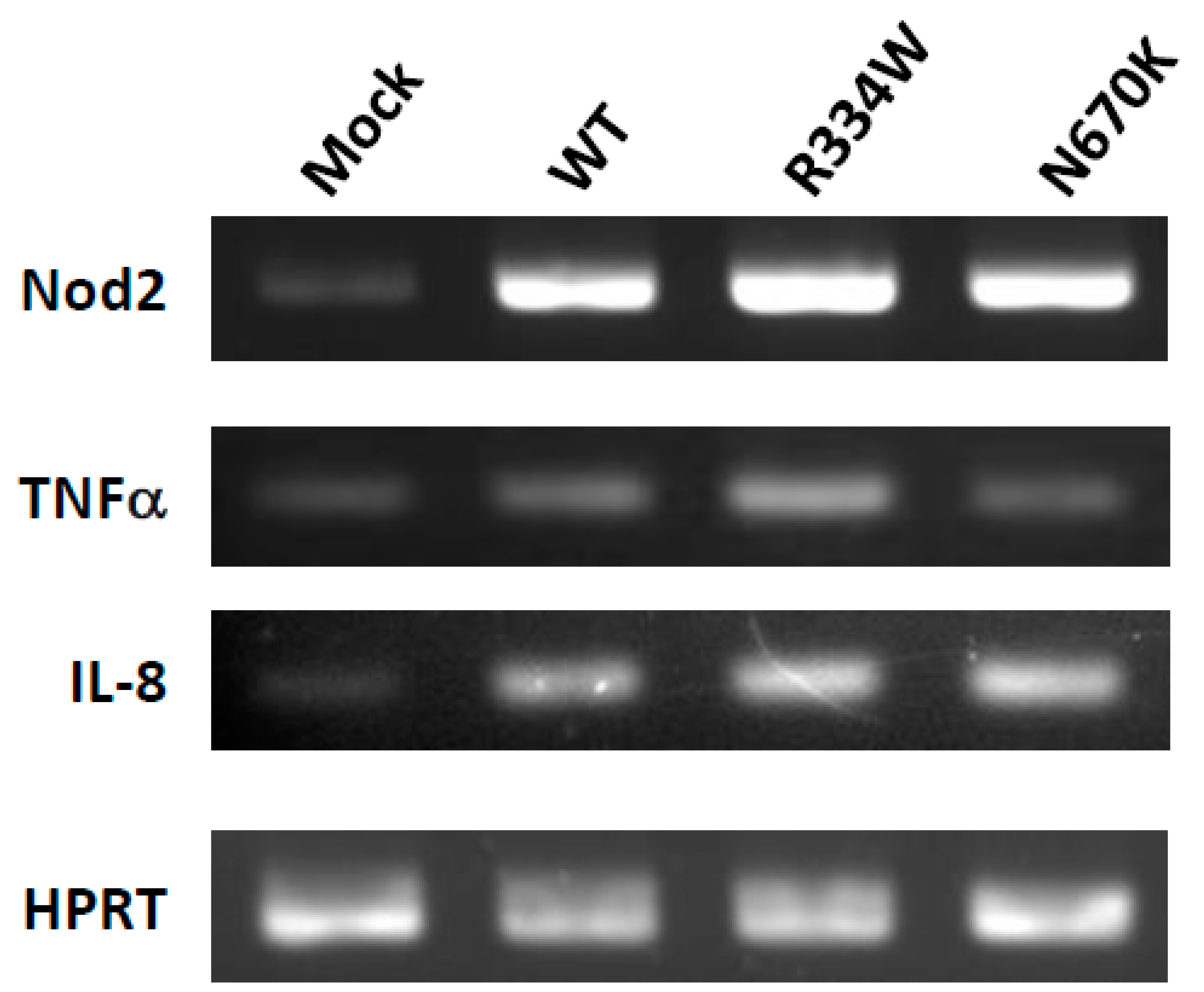 Children 08 00335 g001