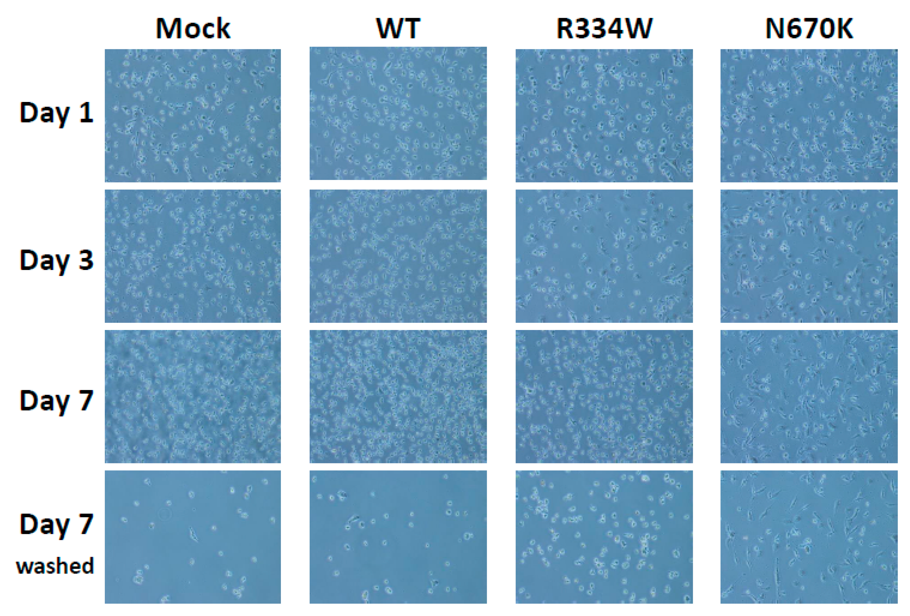 Children 08 00335 g002