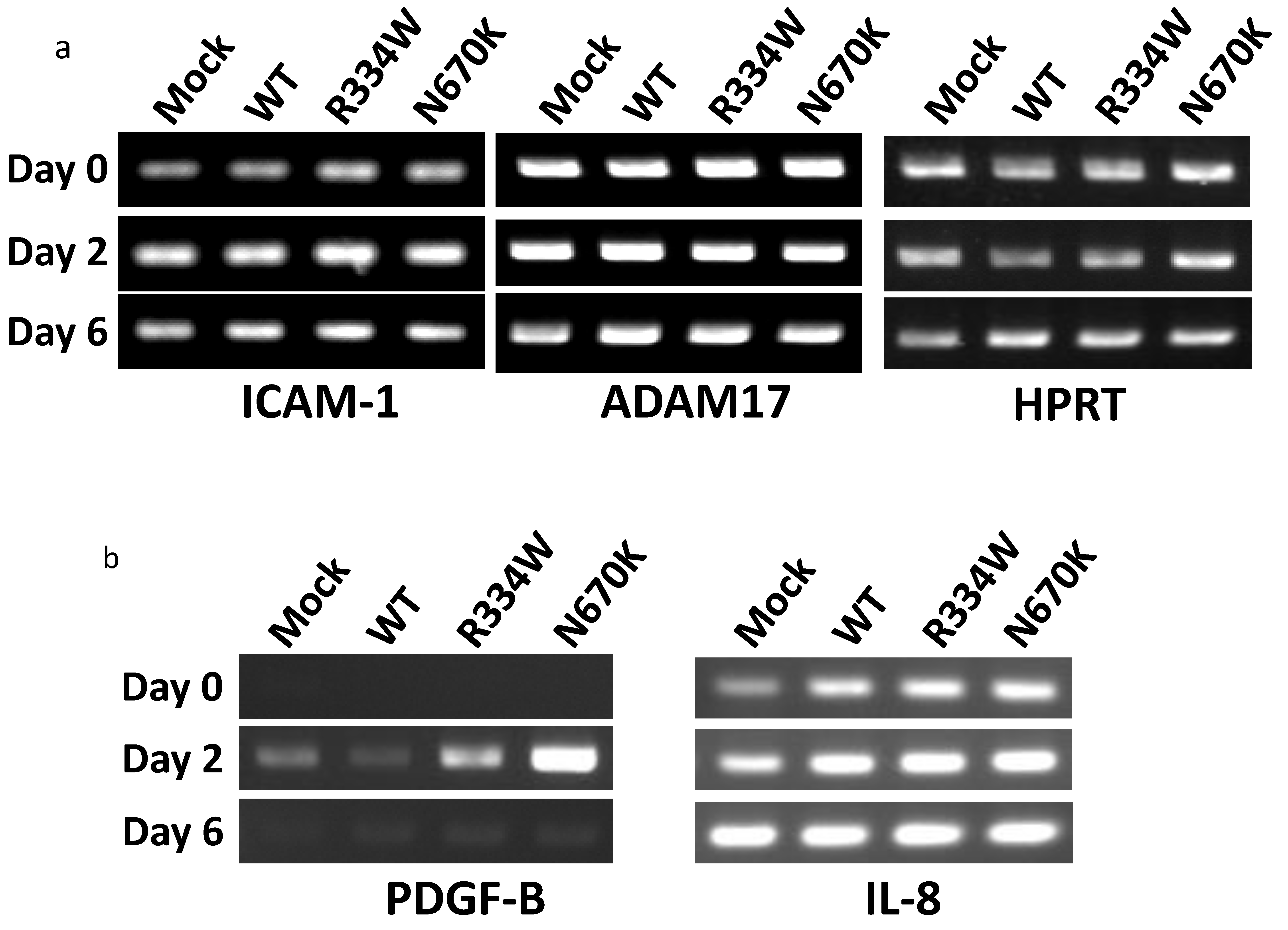 Children 08 00335 g004