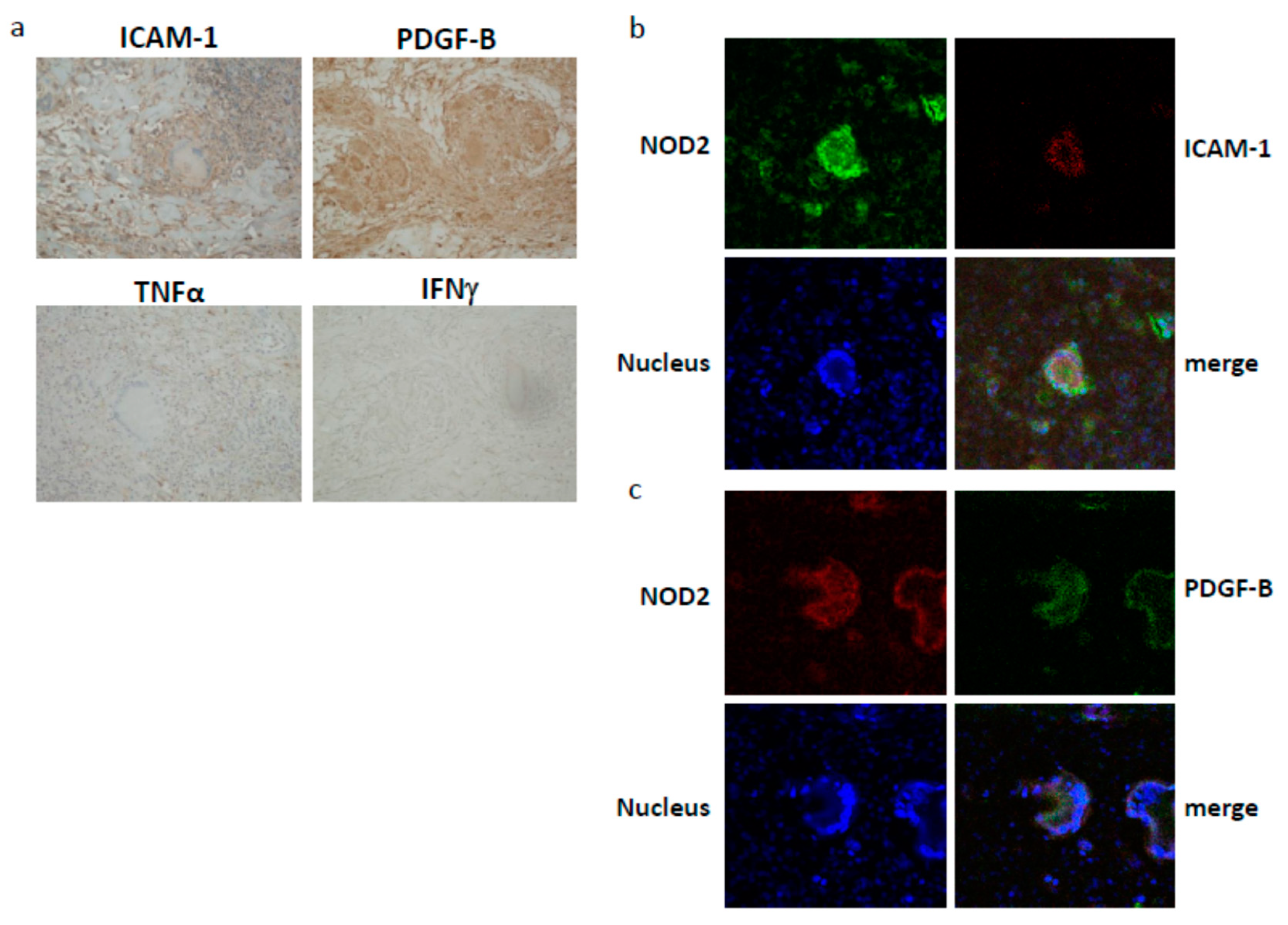 Children 08 00335 g005