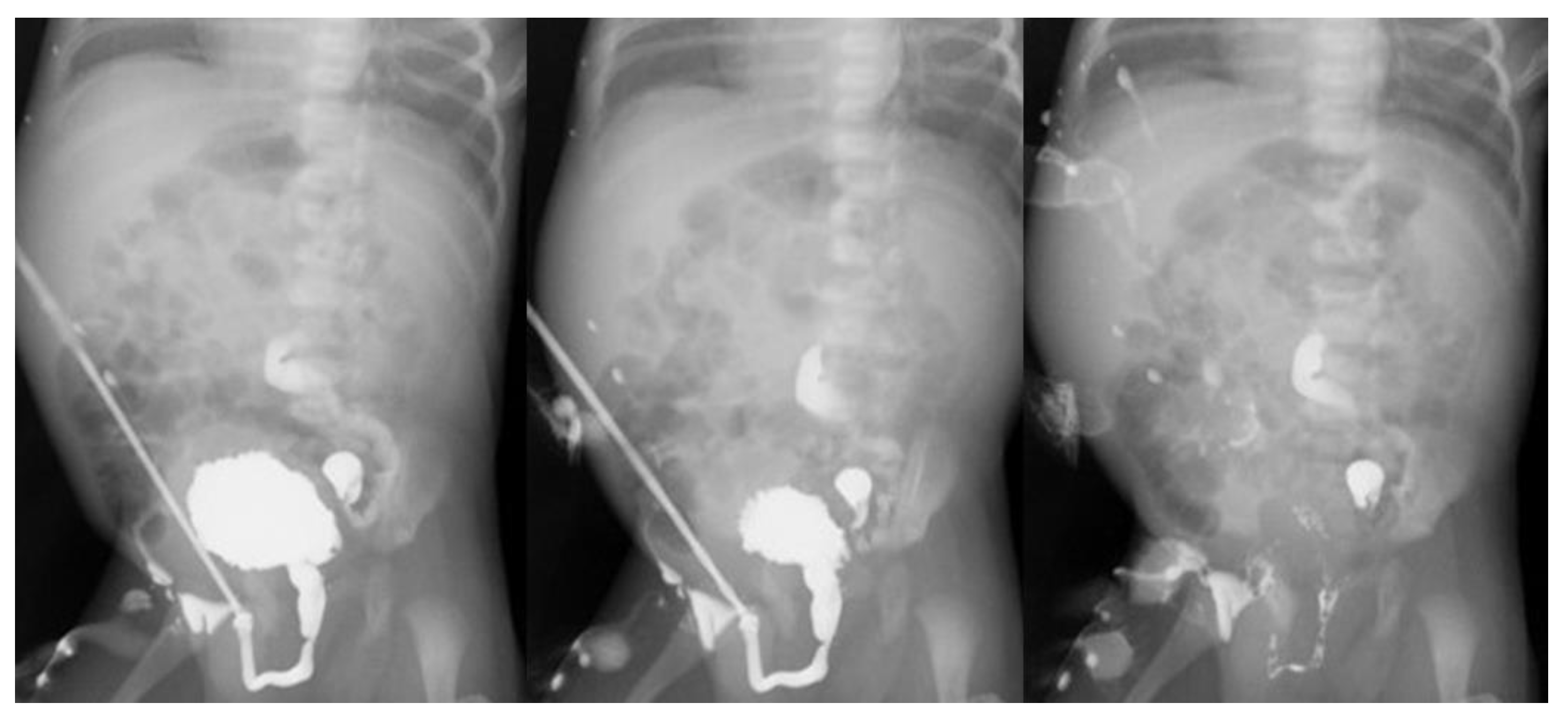 Children 08 00408 g003