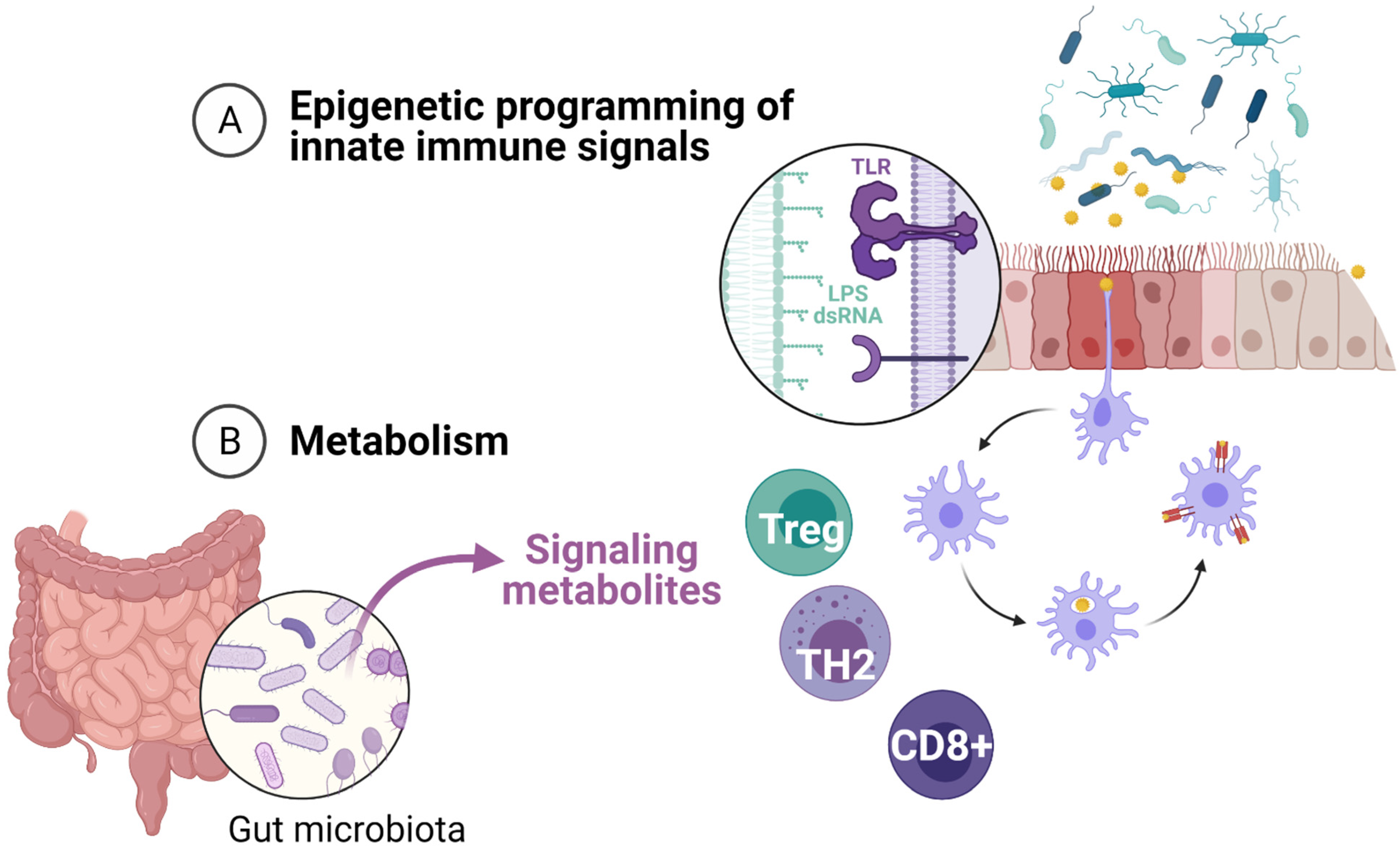 Children 08 00413 g001