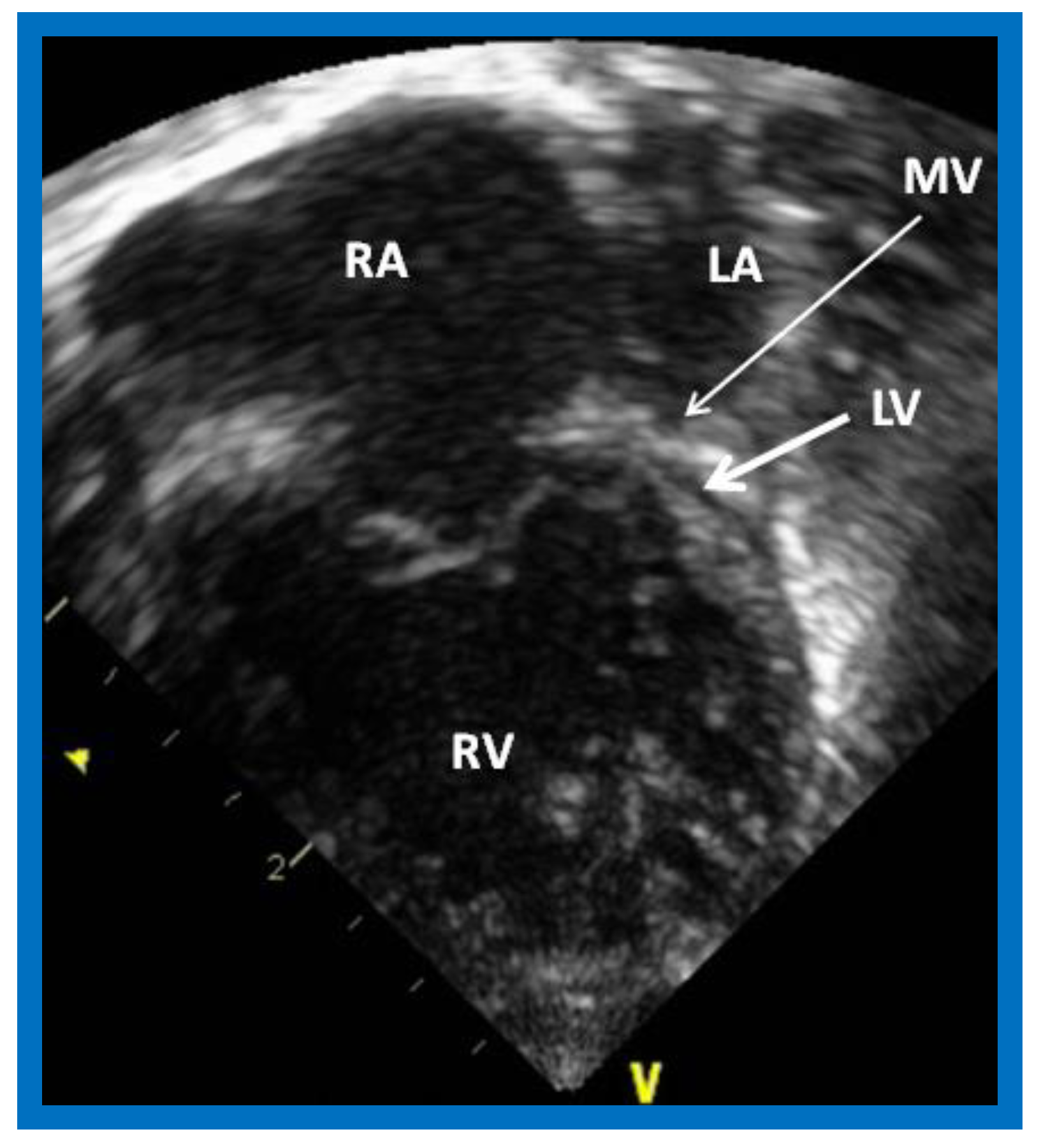 Children 08 00441 g001