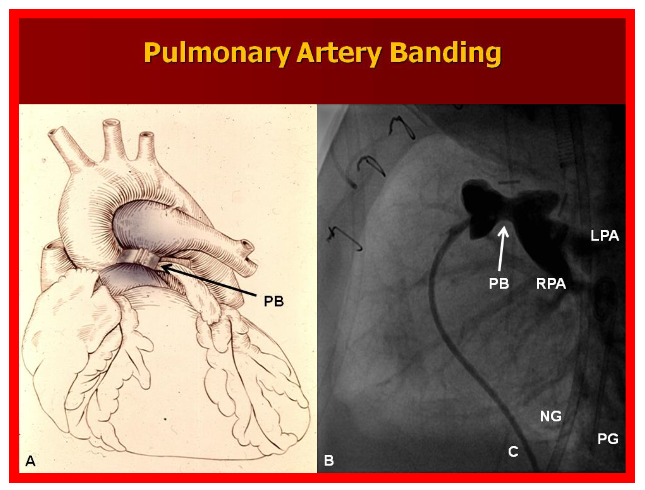 Children 08 00441 g010
