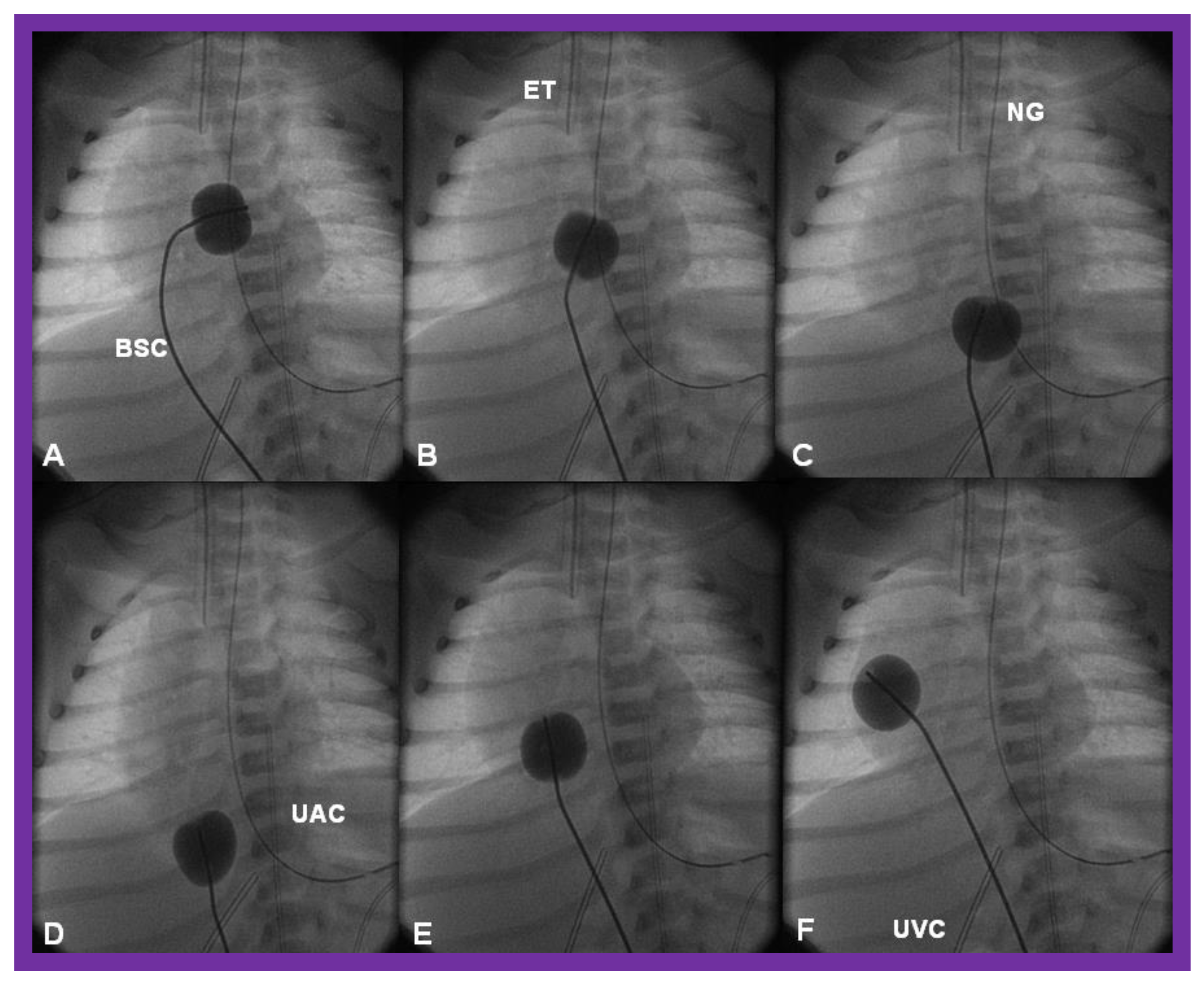 Children 08 00441 g012