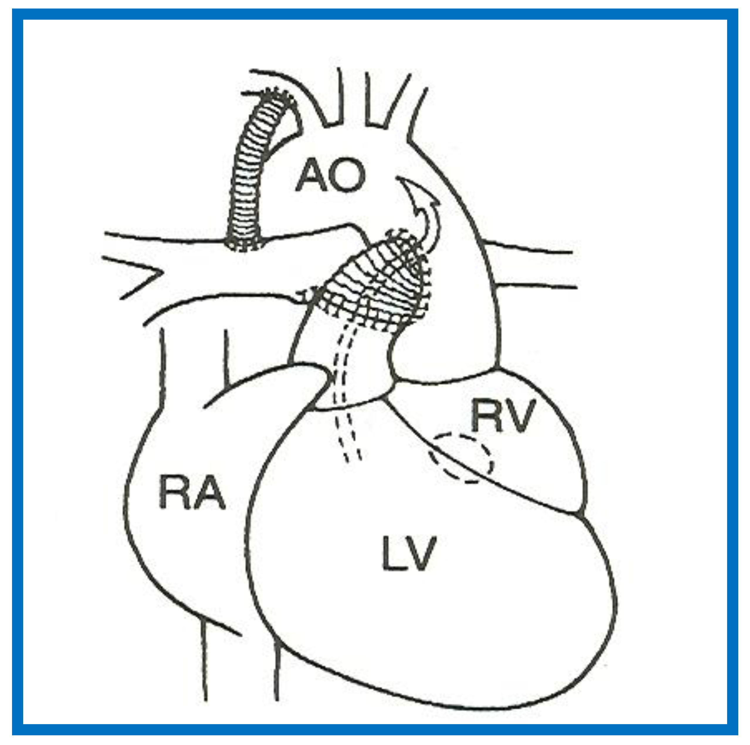 Children 08 00441 g013