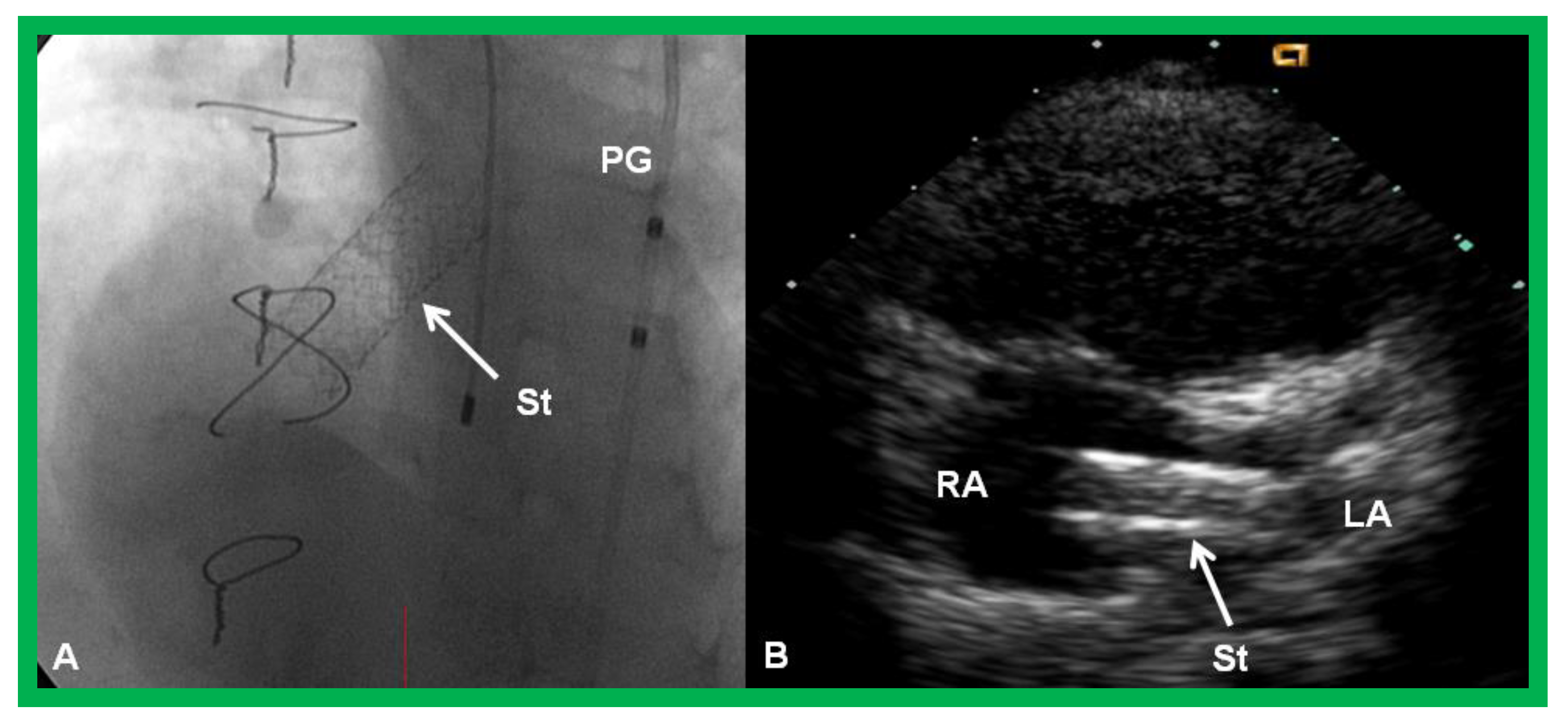 Children 08 00441 g019