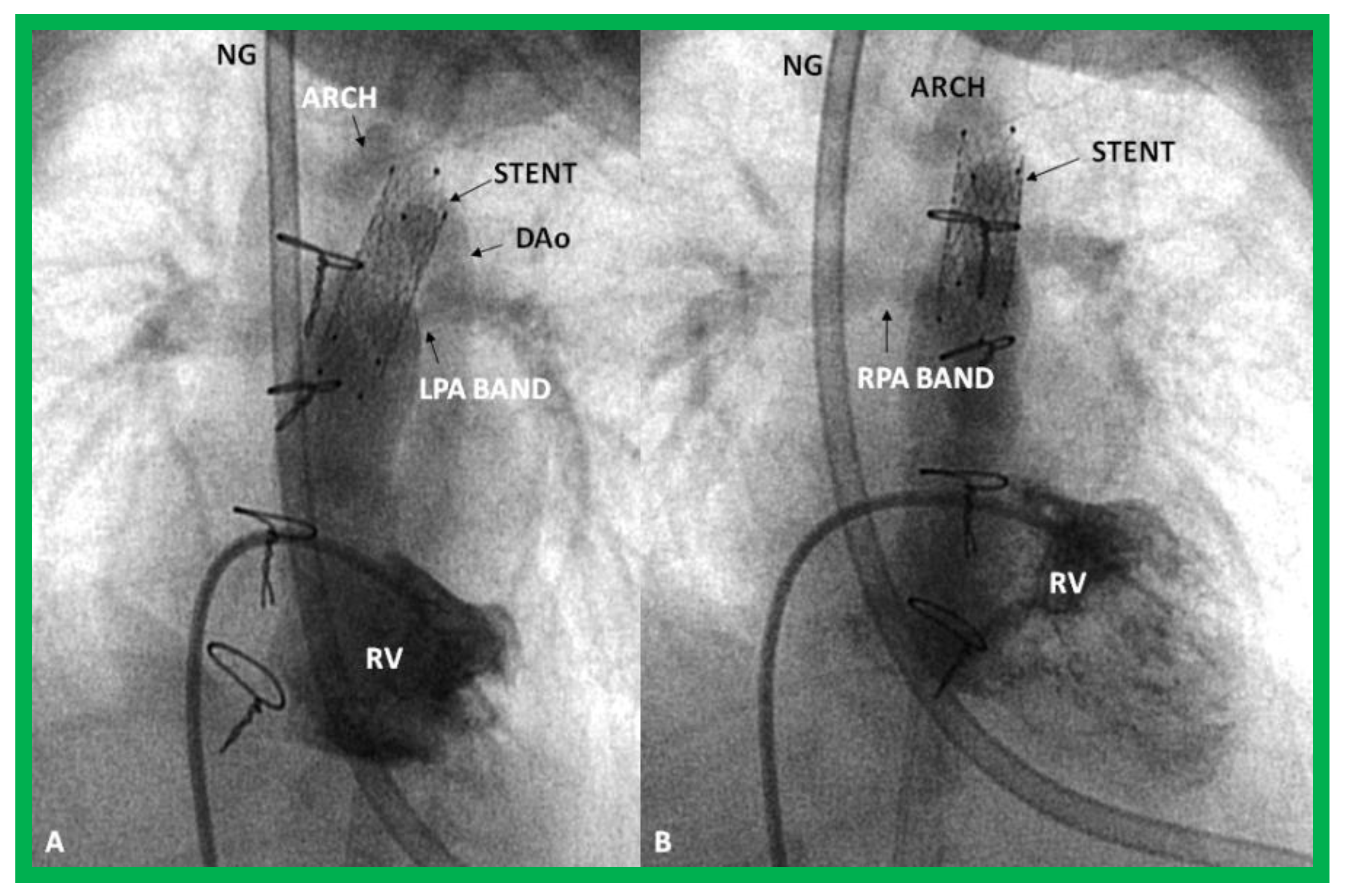 Children 08 00441 g031