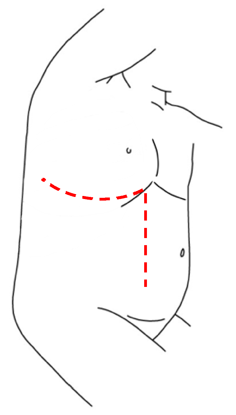 Children 08 00446 g005