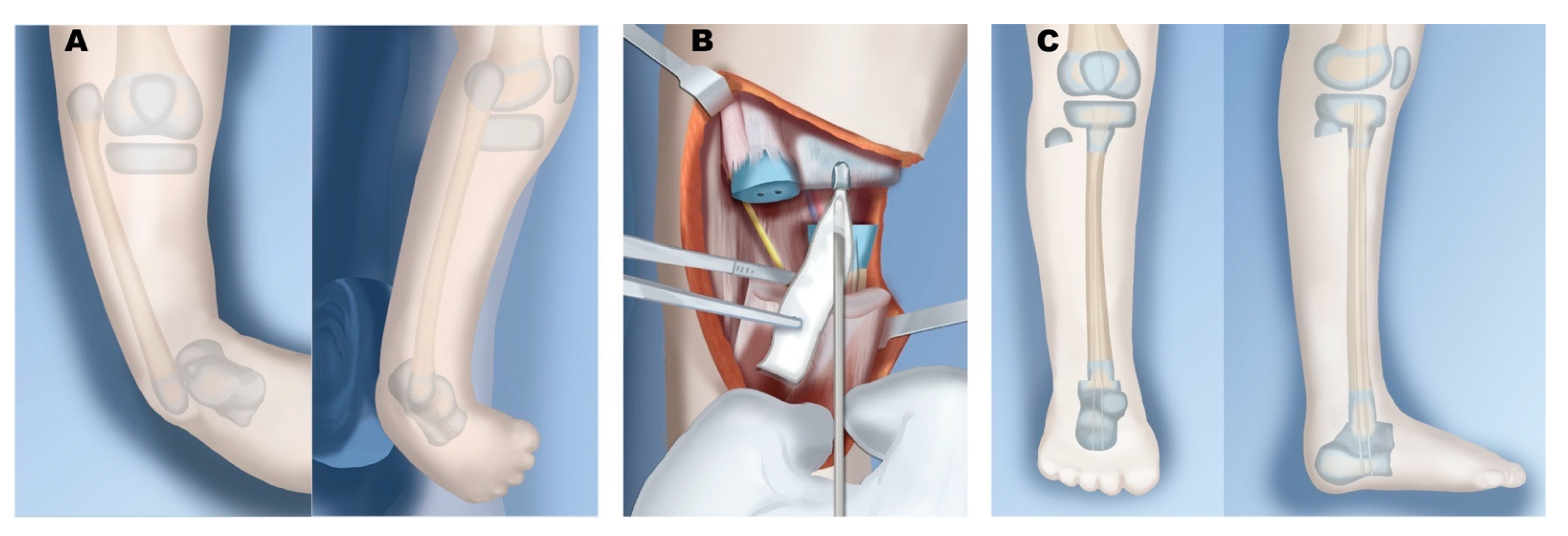 Children 08 00461 g009