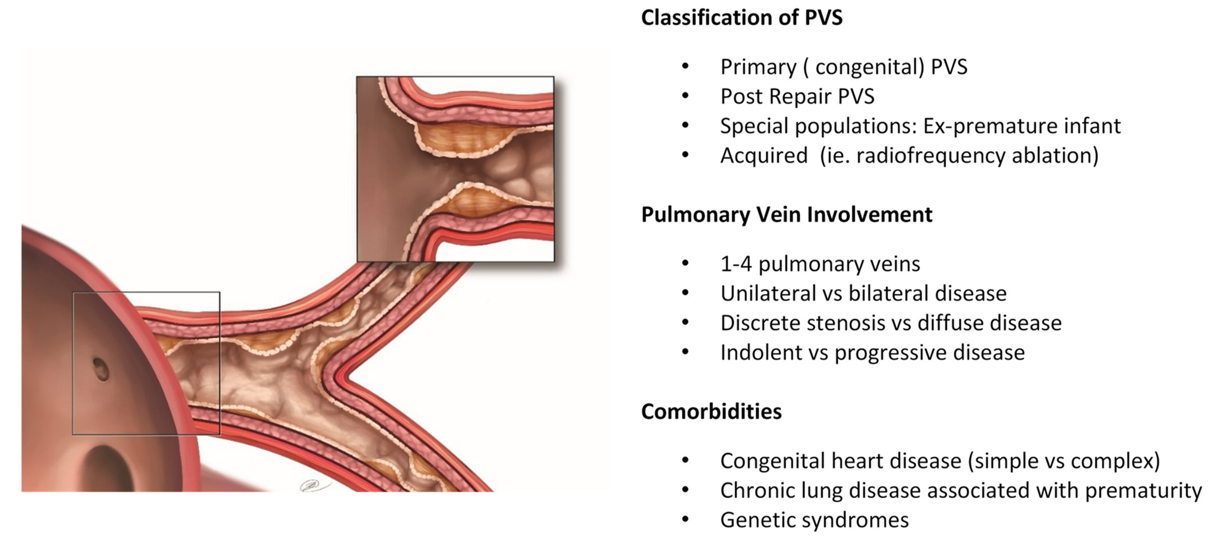 Children 08 00481 g001