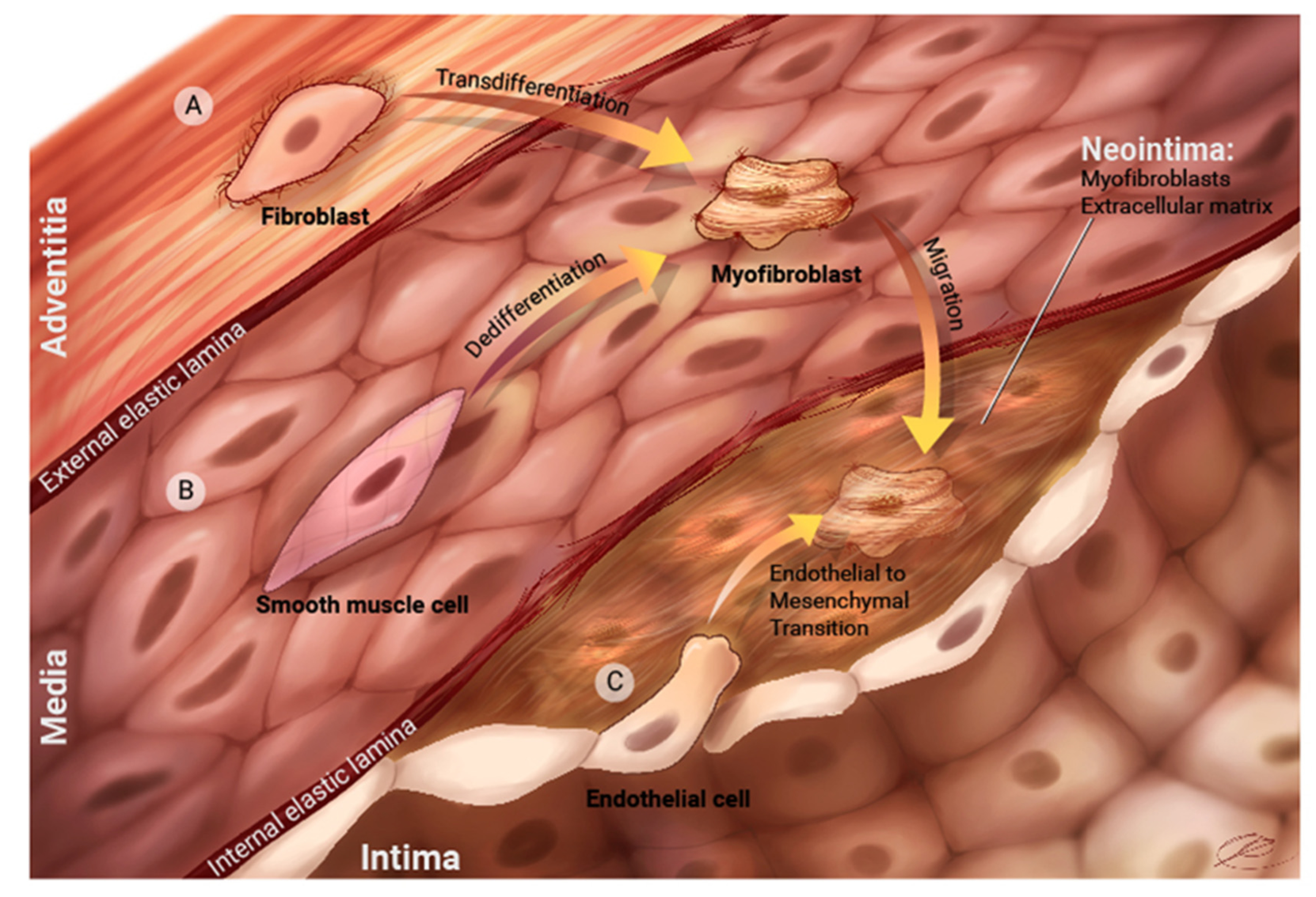 Children 08 00481 g002