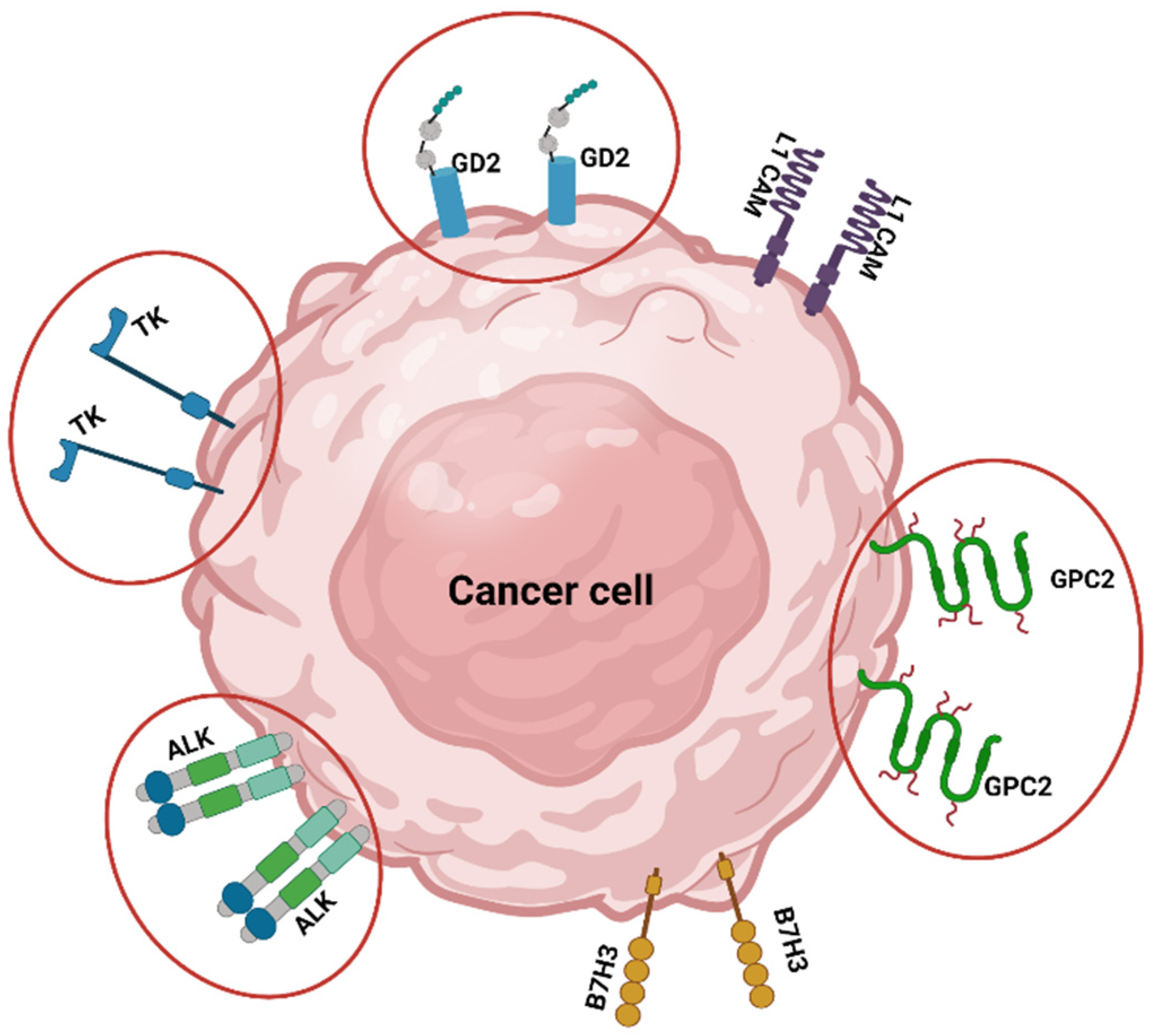 Children 08 00482 g001