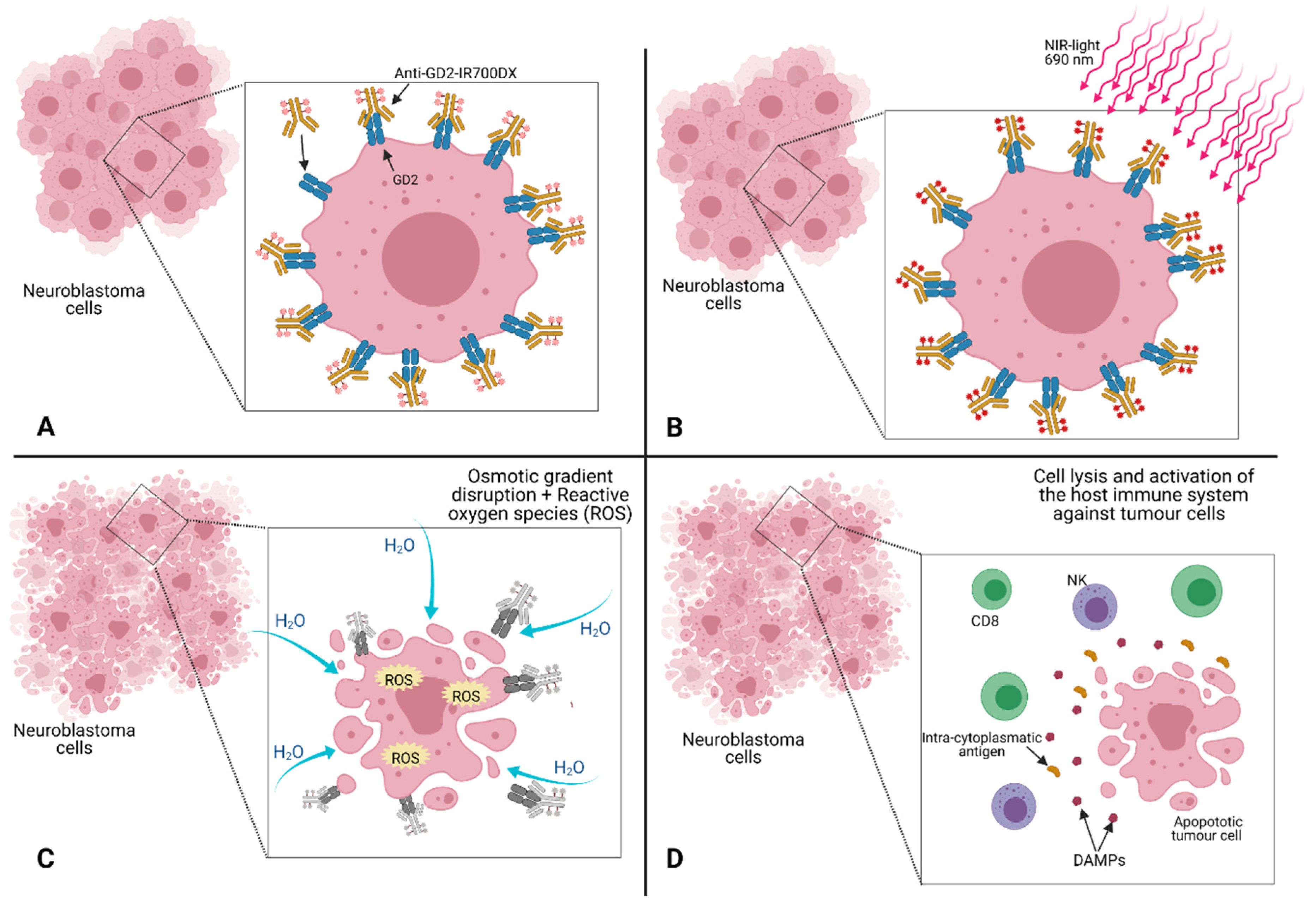 Children 08 00482 g003