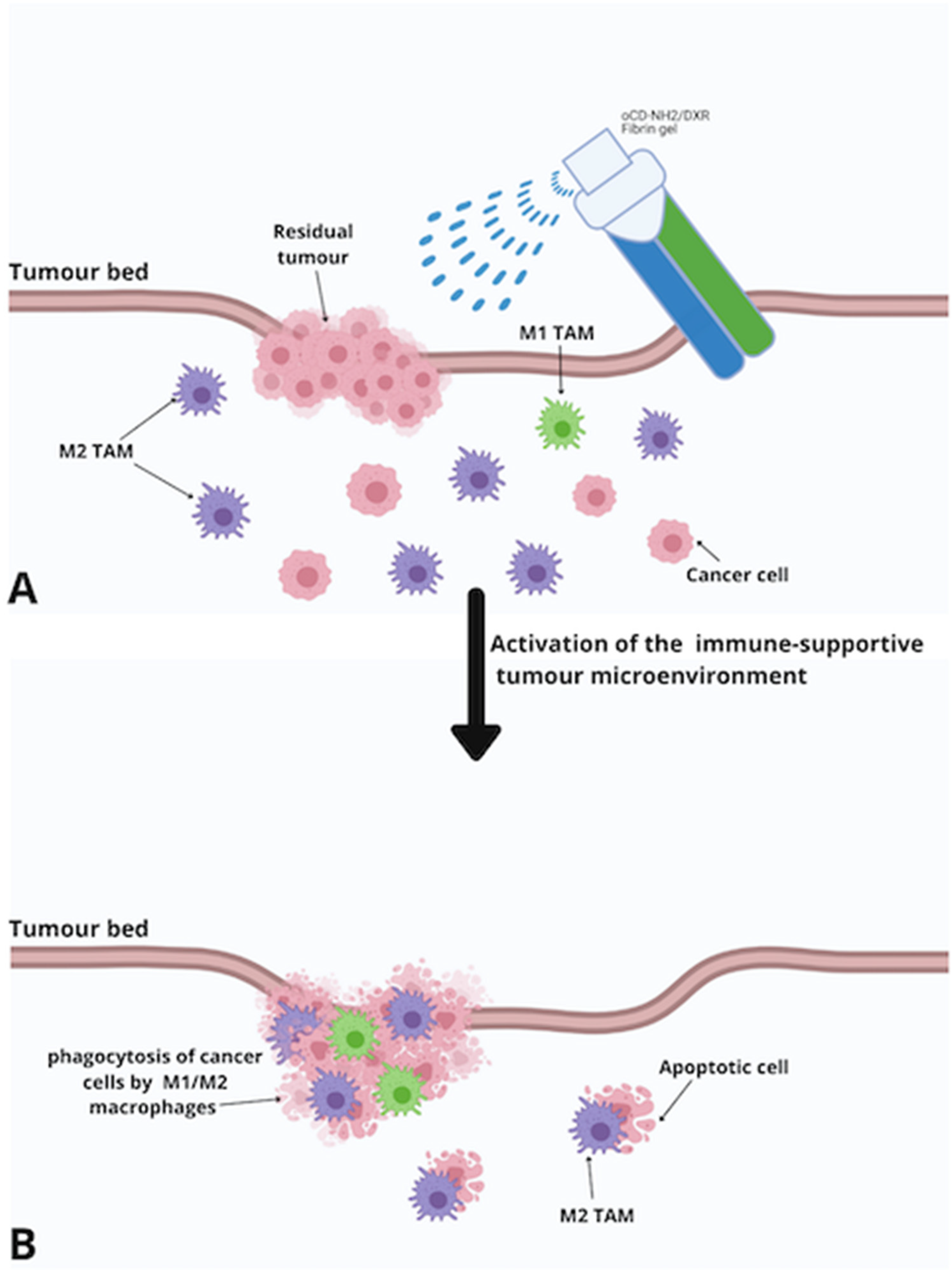 Children 08 00482 g004