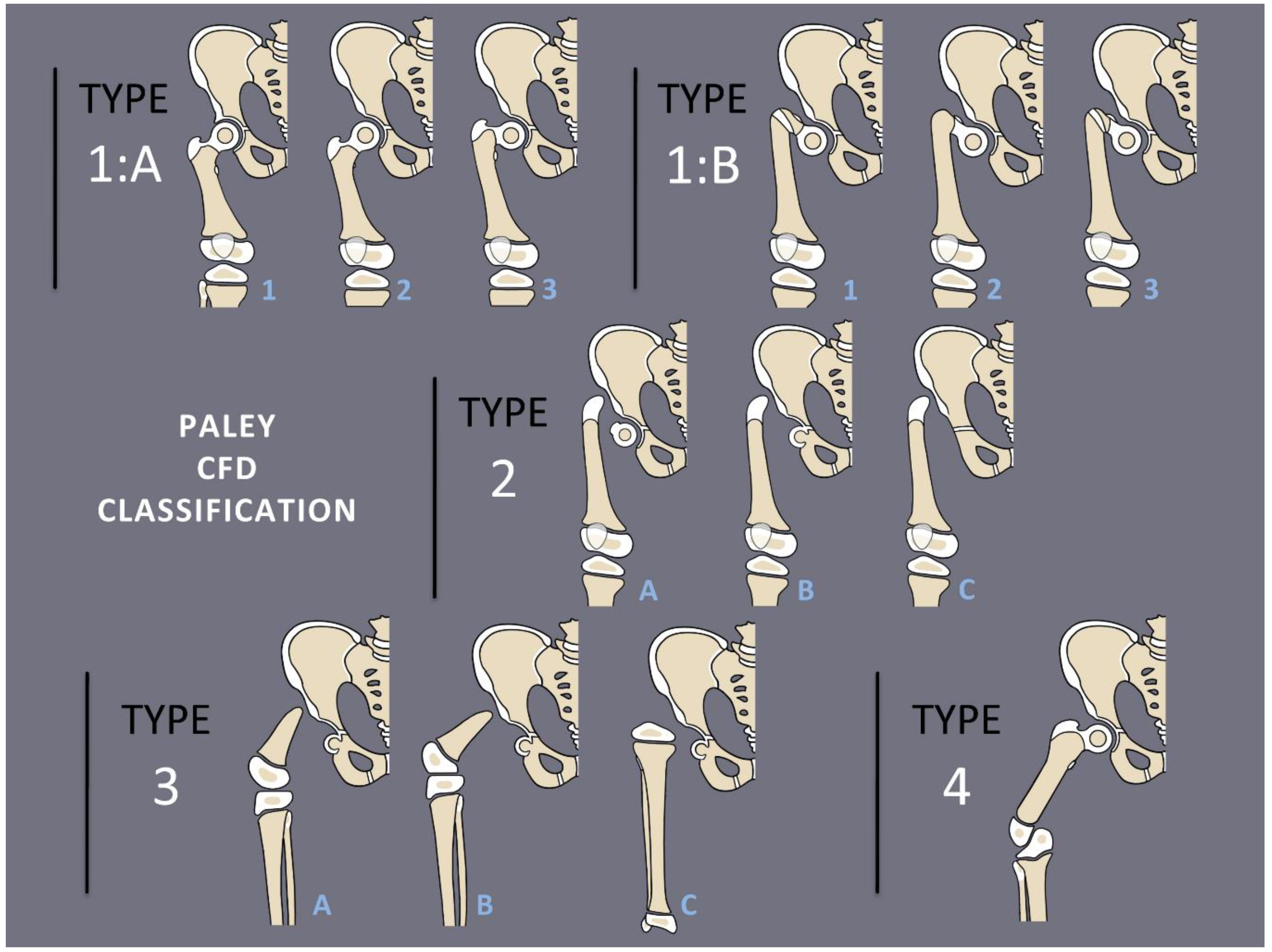 Children 08 00495 g001 Children 08 00495 g001