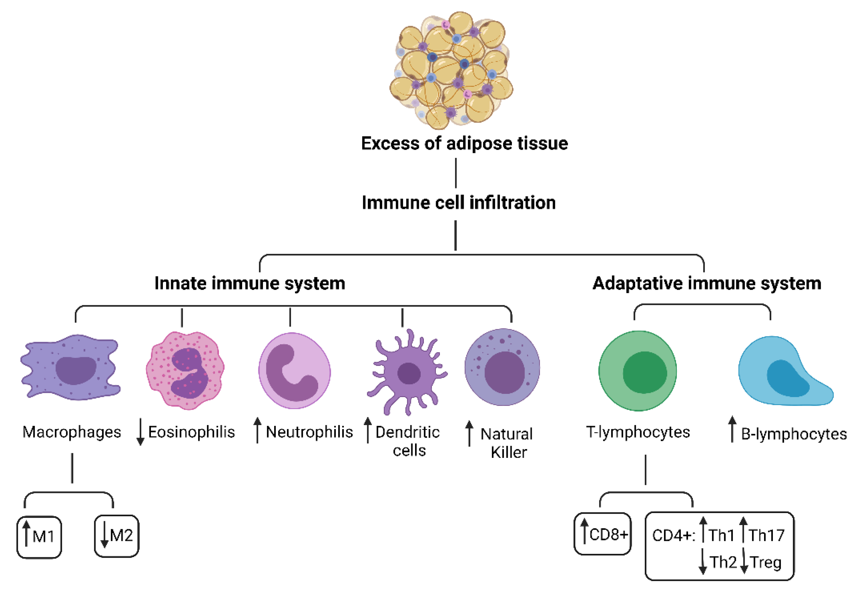 Children 08 00554 g001 Children 08 00554 g001