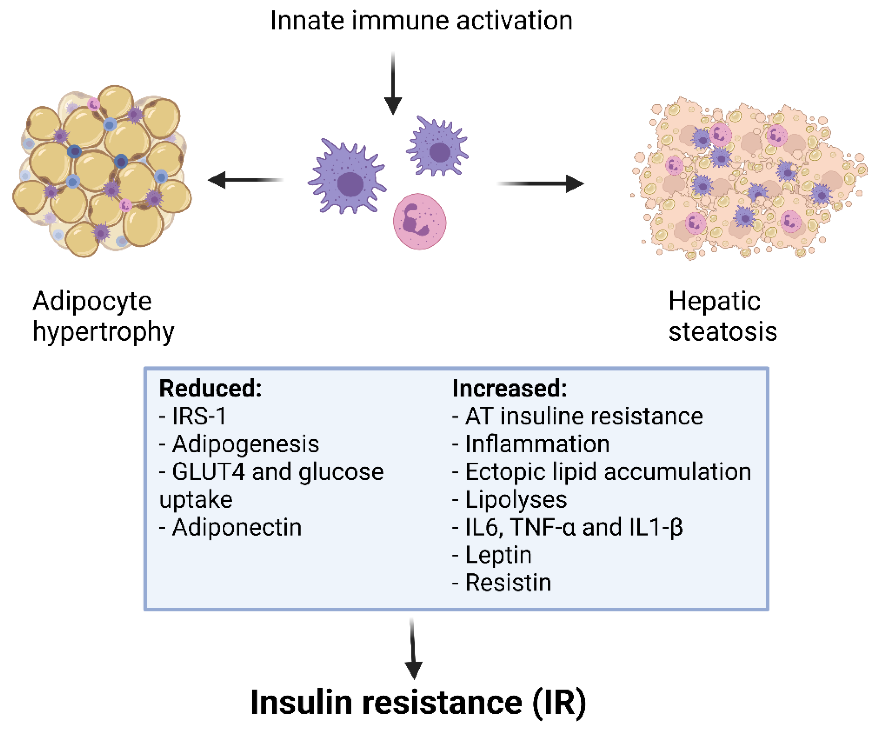 Children 08 00554 g003 Children 08 00554 g003