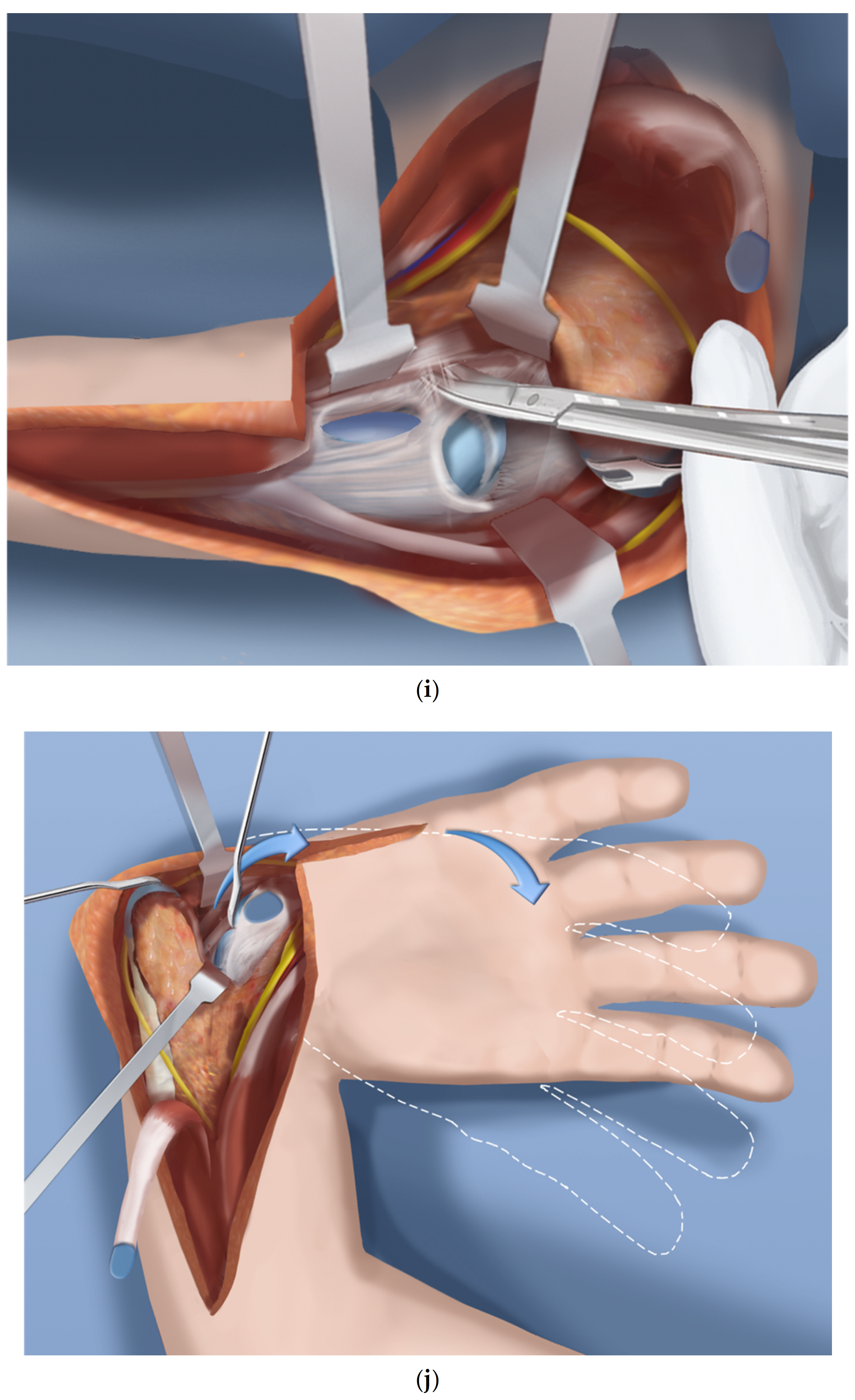 Children 08 00562 g001e