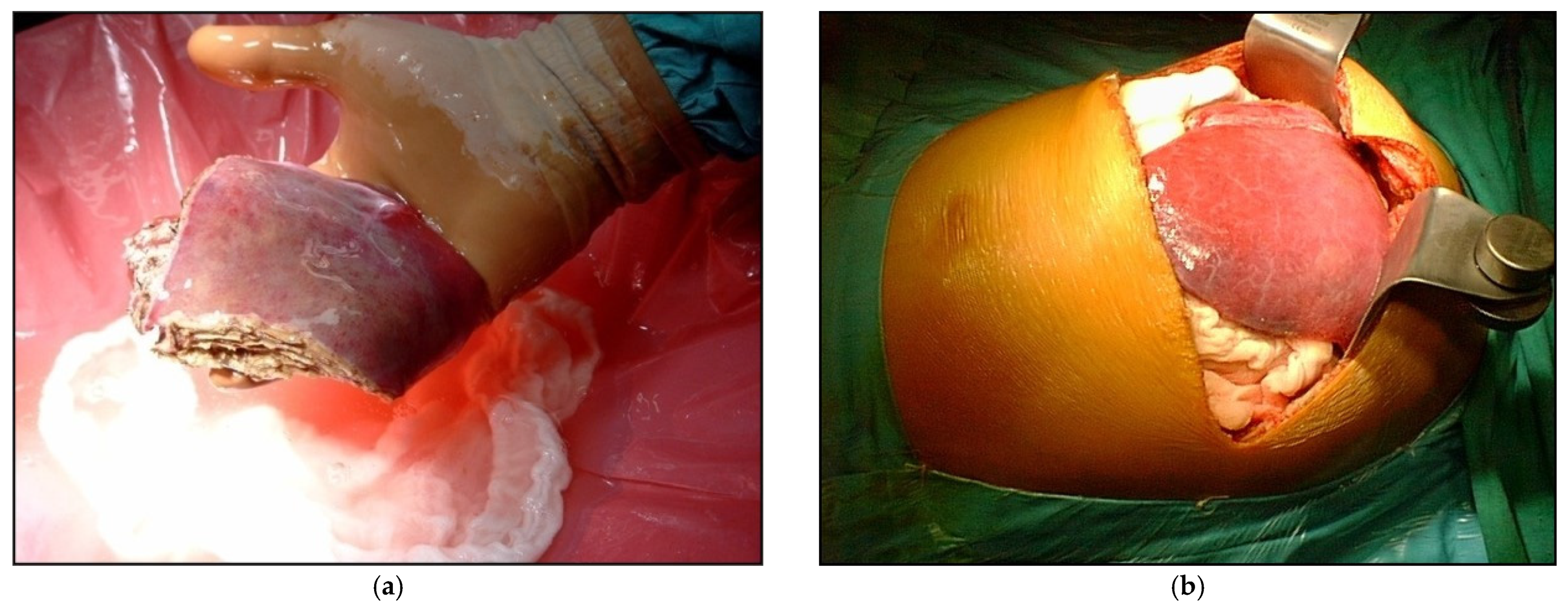 Children 08 00579 g001