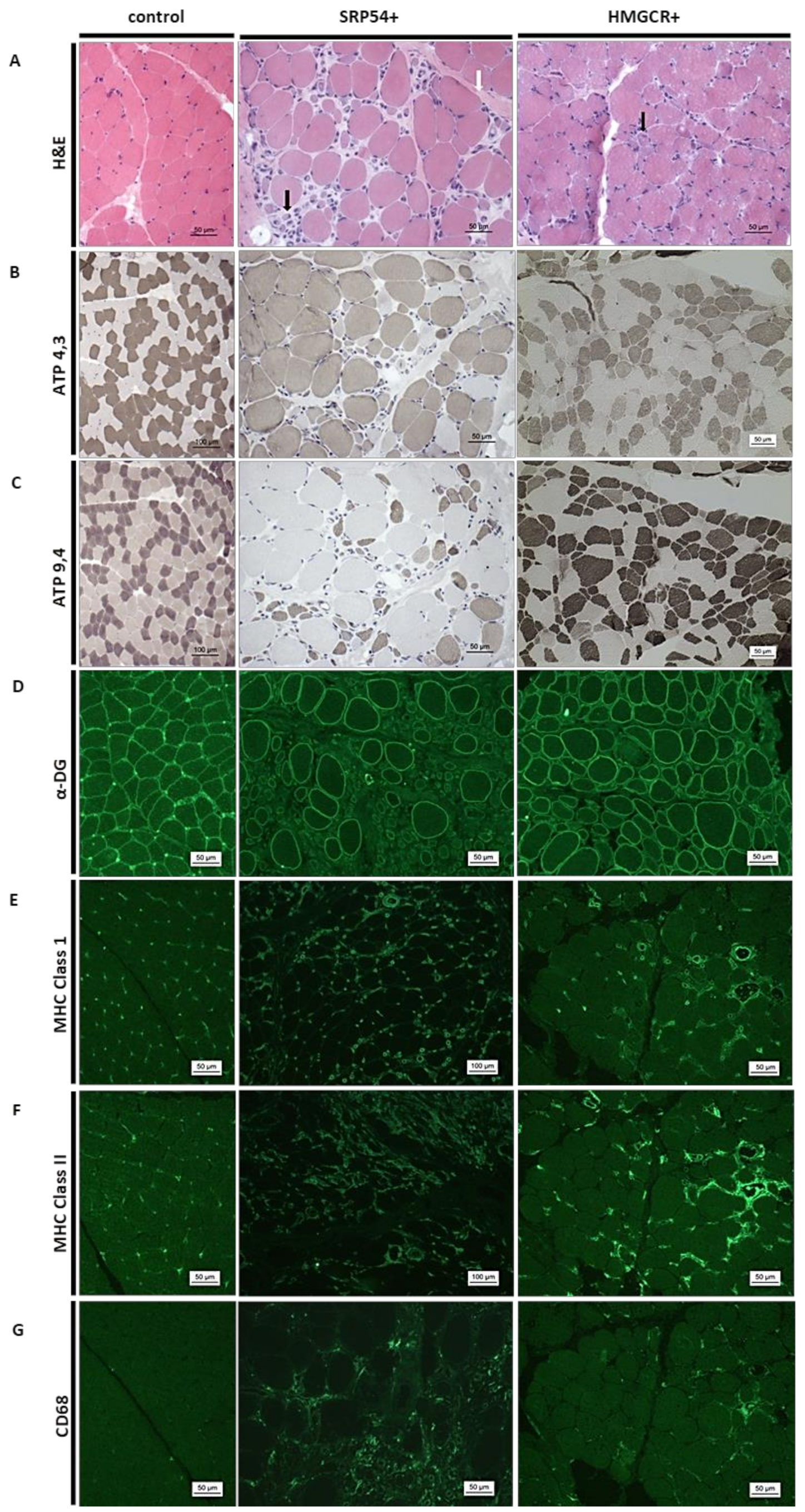 Children 08 00721 g004