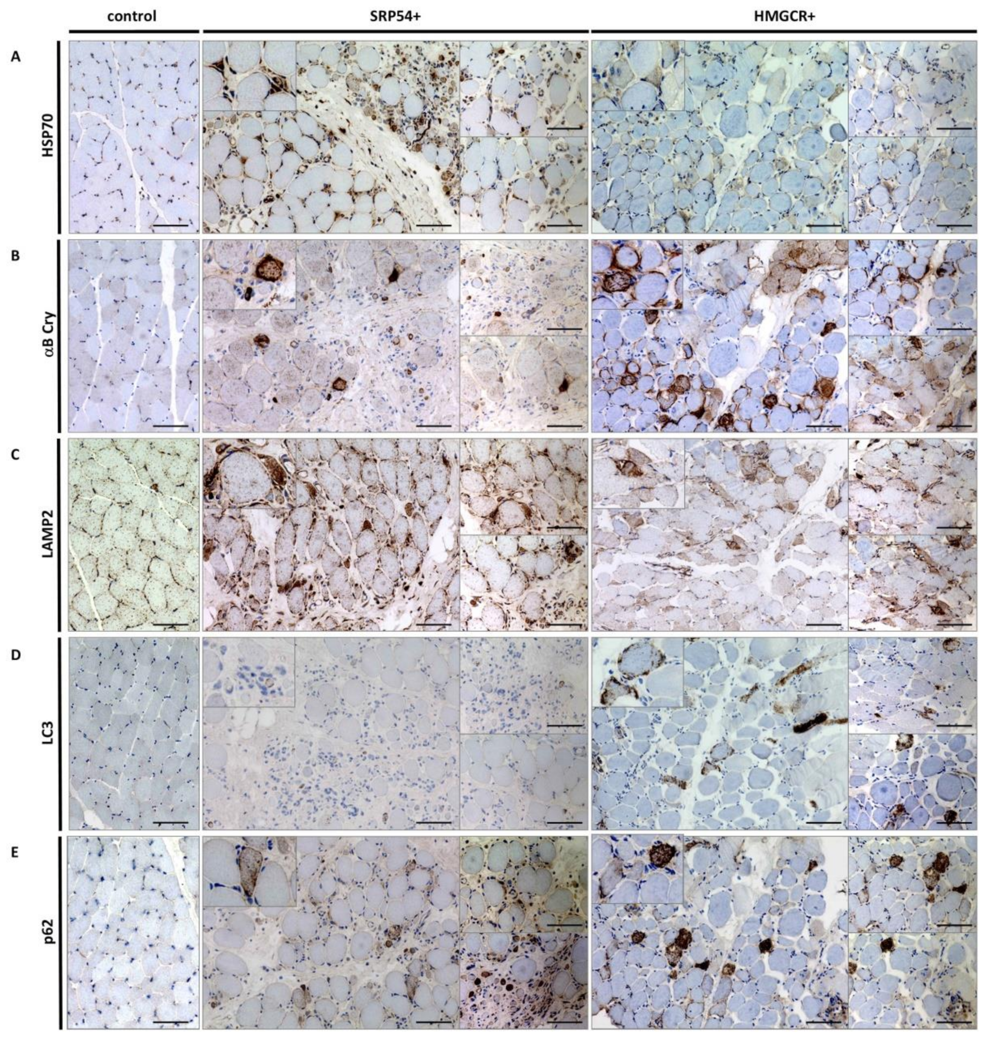 Children 08 00721 g005