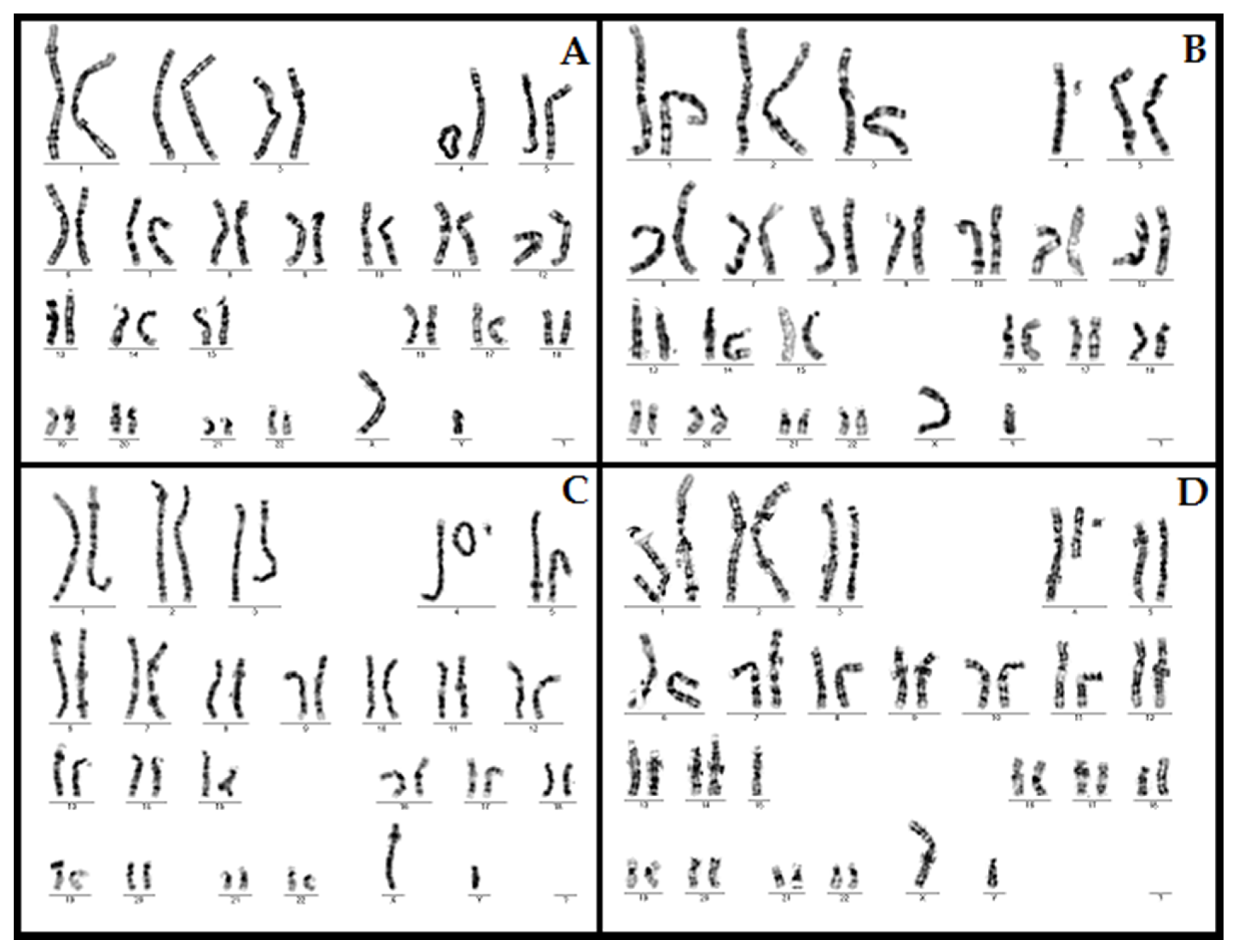 Children 08 00751 g002