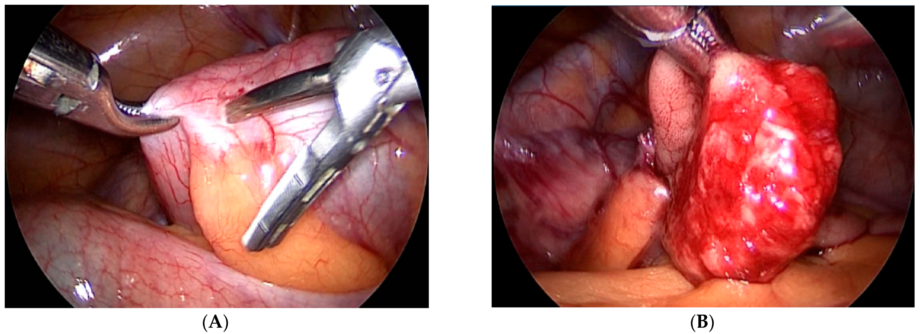 Children 08 00770 g001 Children 08 00770 g001