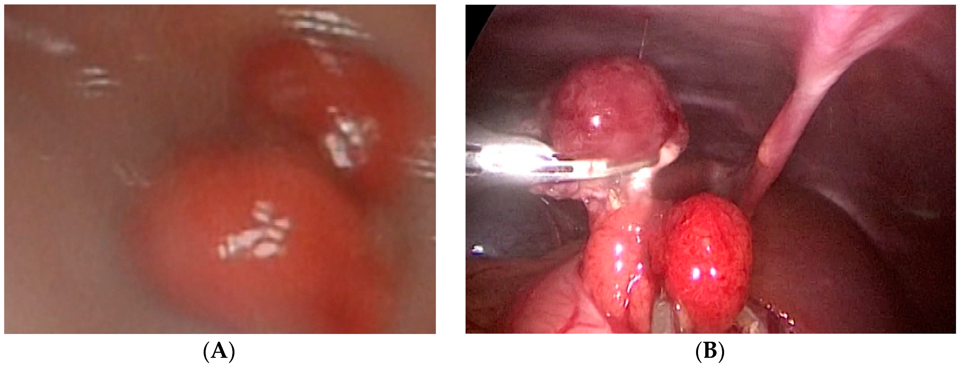 Children 08 00770 g002 Children 08 00770 g002