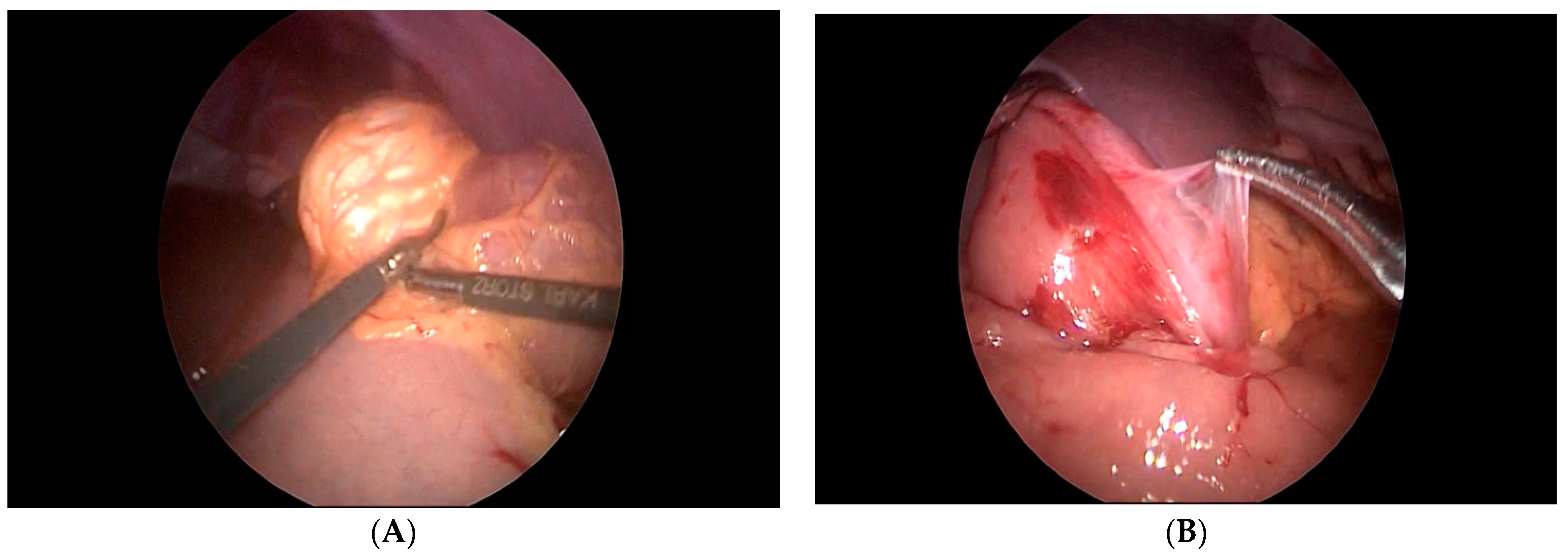 Children 08 00770 g003 Children 08 00770 g003