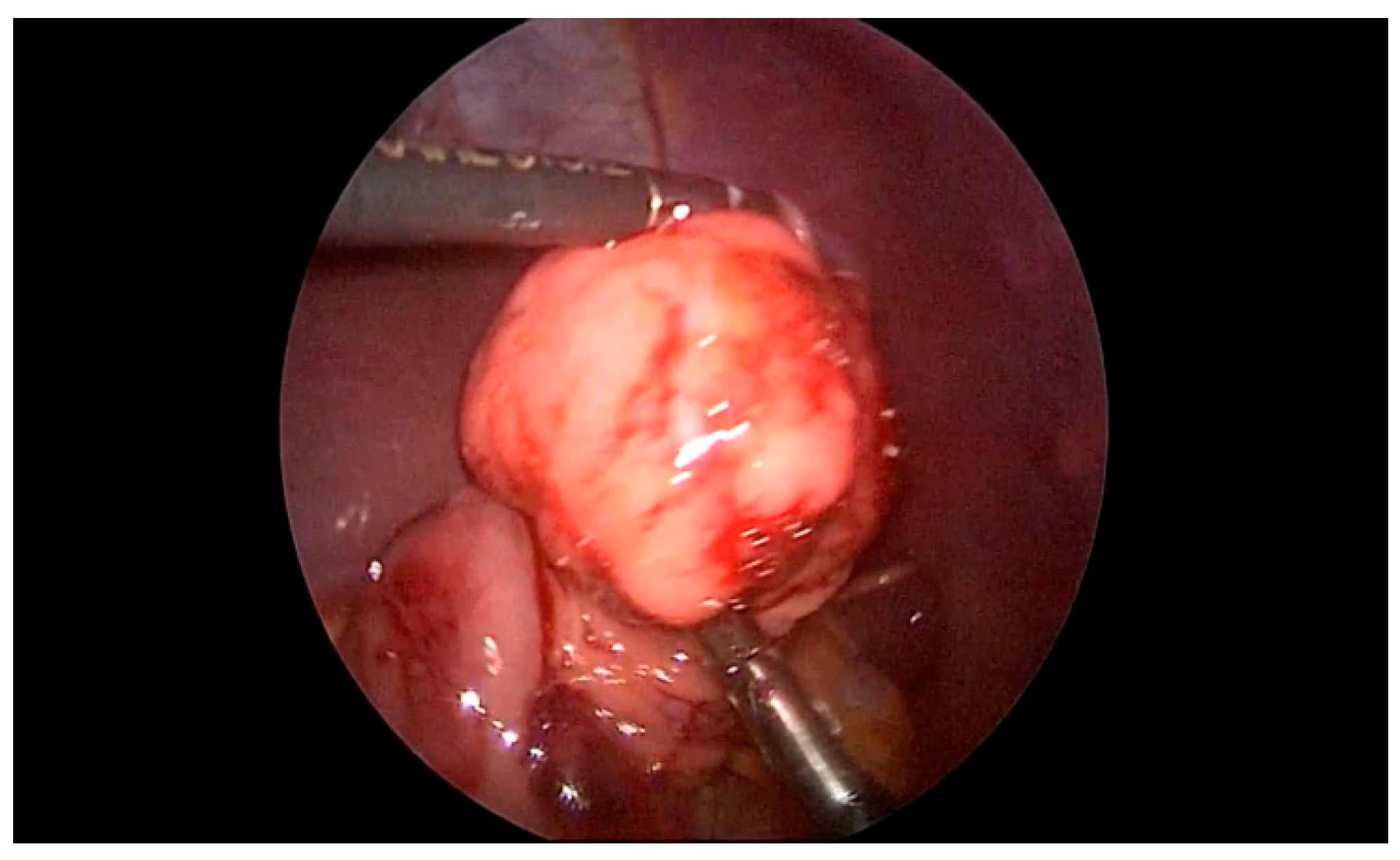 Children 08 00770 g004 Children 08 00770 g004