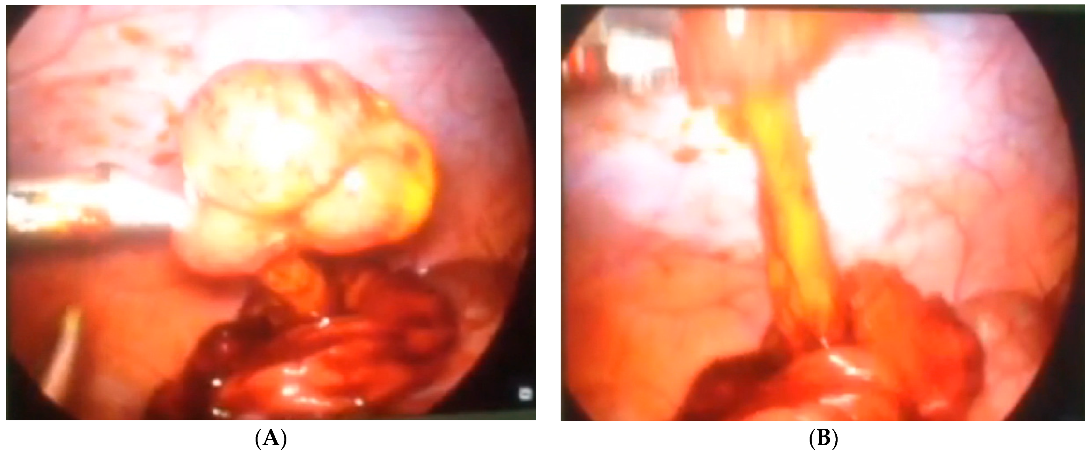 Children 08 00770 g006 Children 08 00770 g006