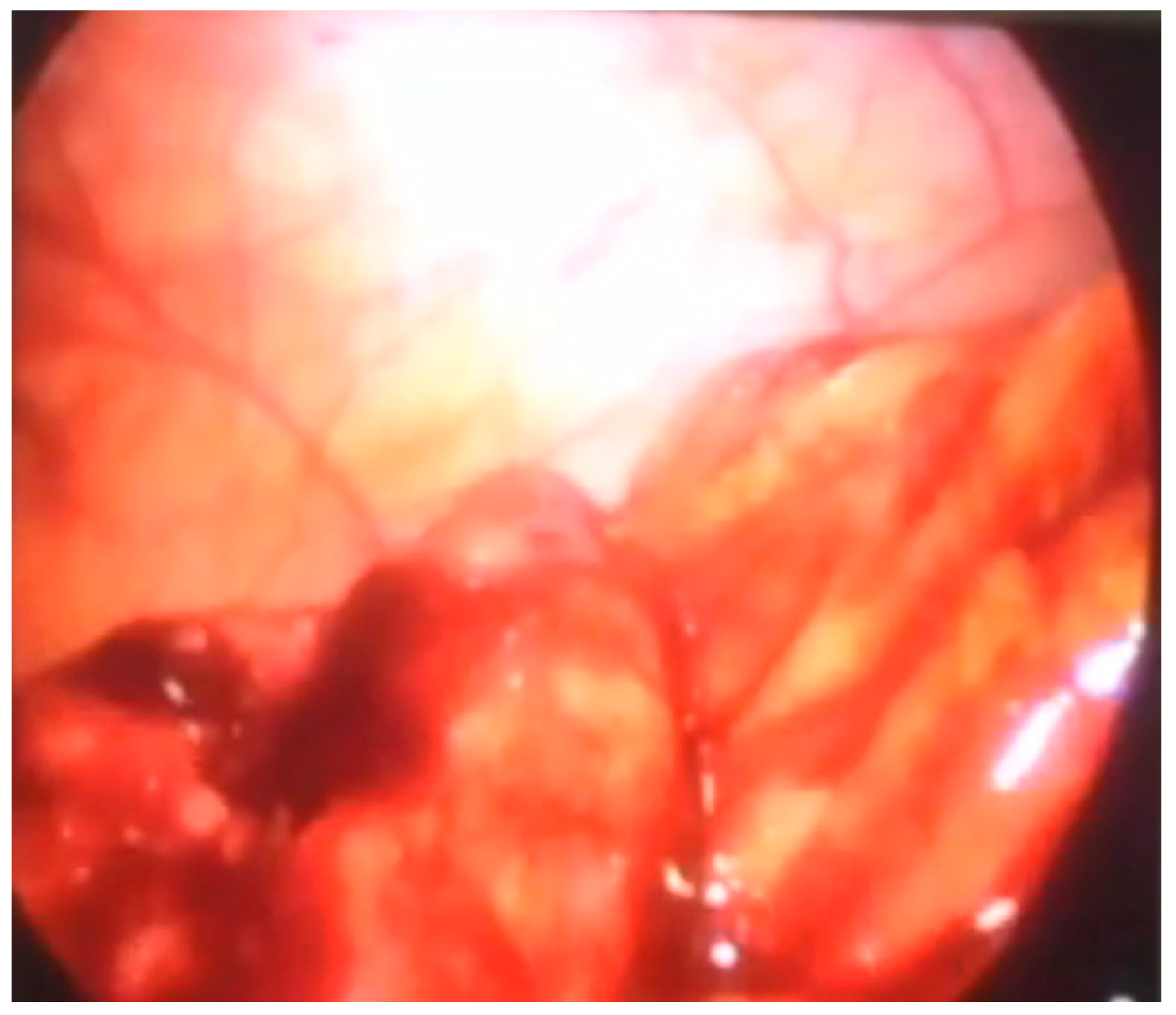 Children 08 00770 g007 Children 08 00770 g007