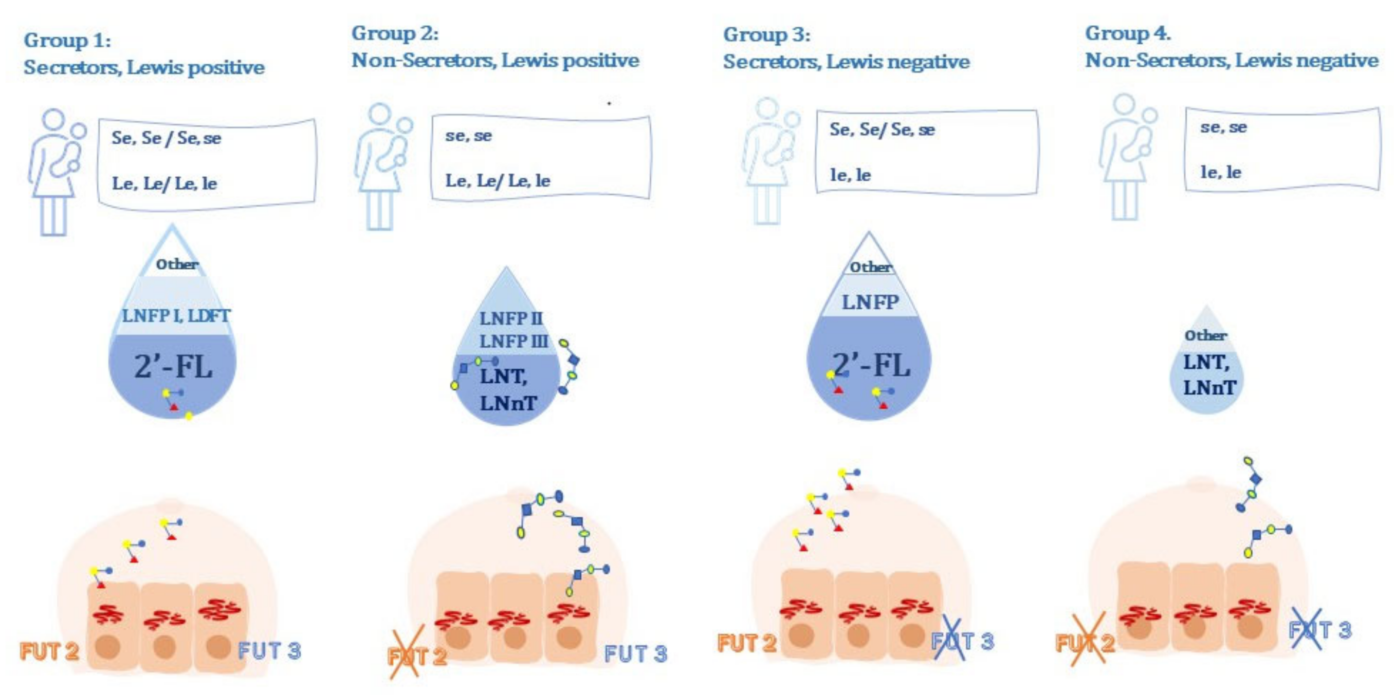 Children 08 00804 g001