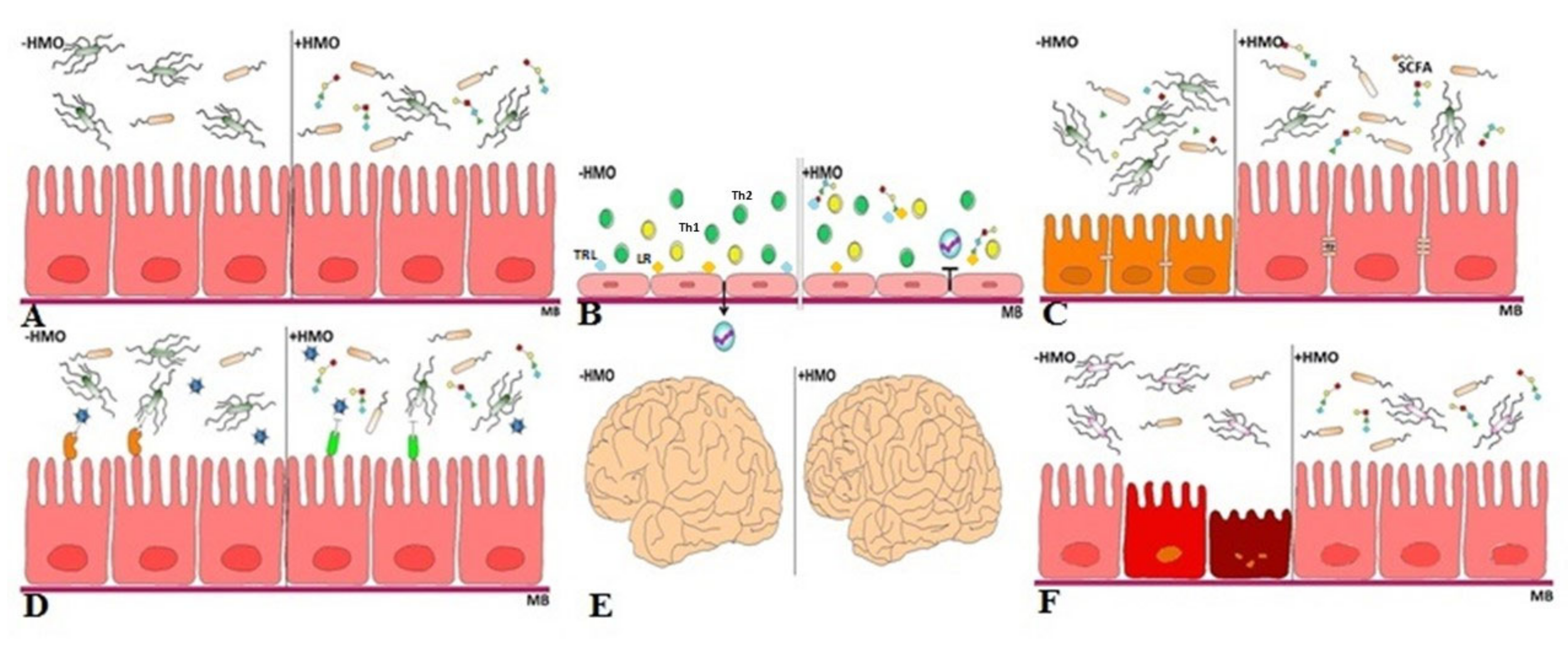 Children 08 00804 g002