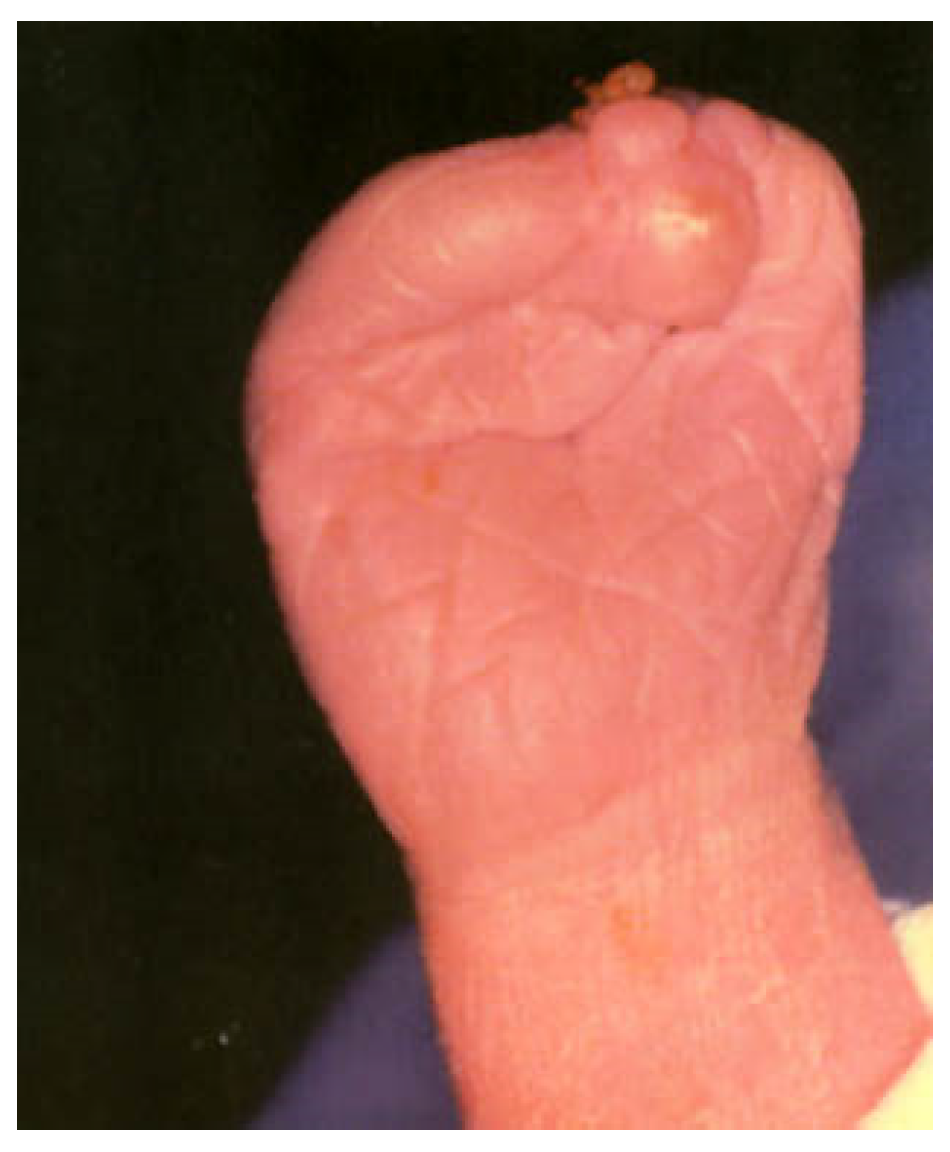 Children 08 00862 g002