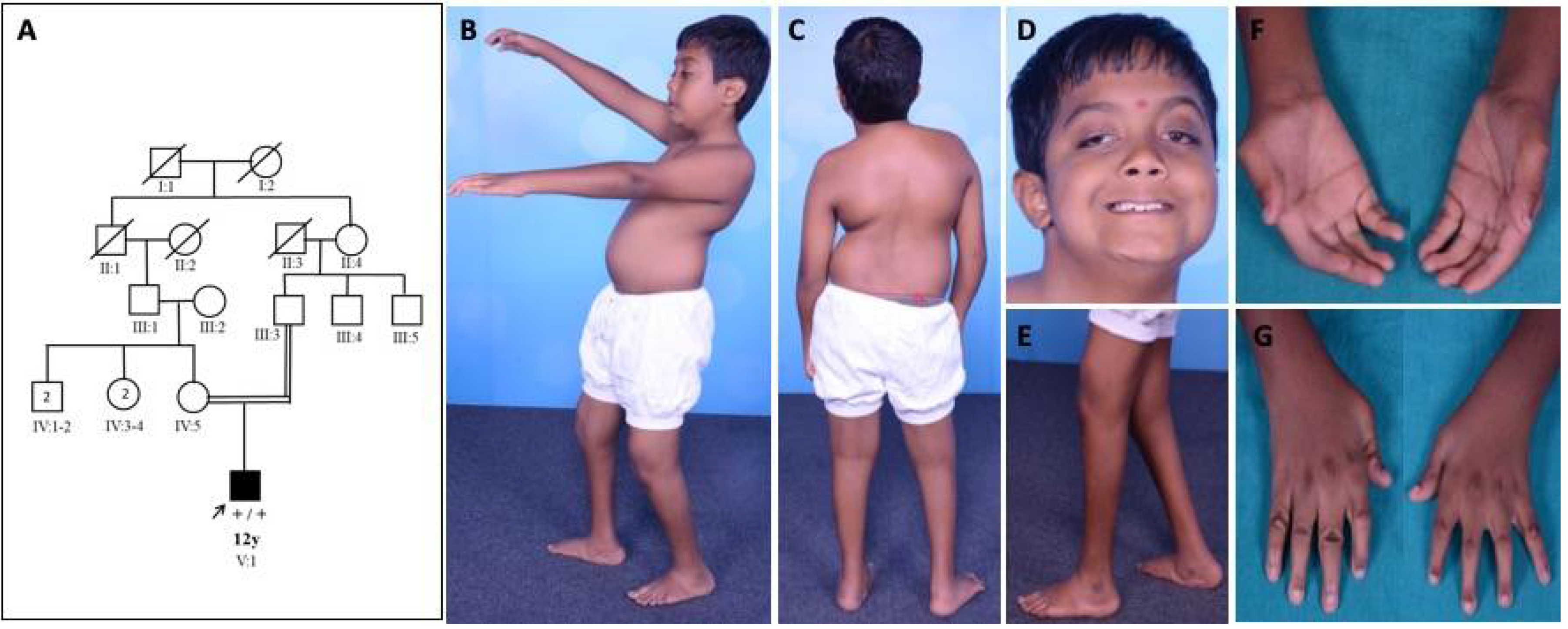 Children 08 00909 g001