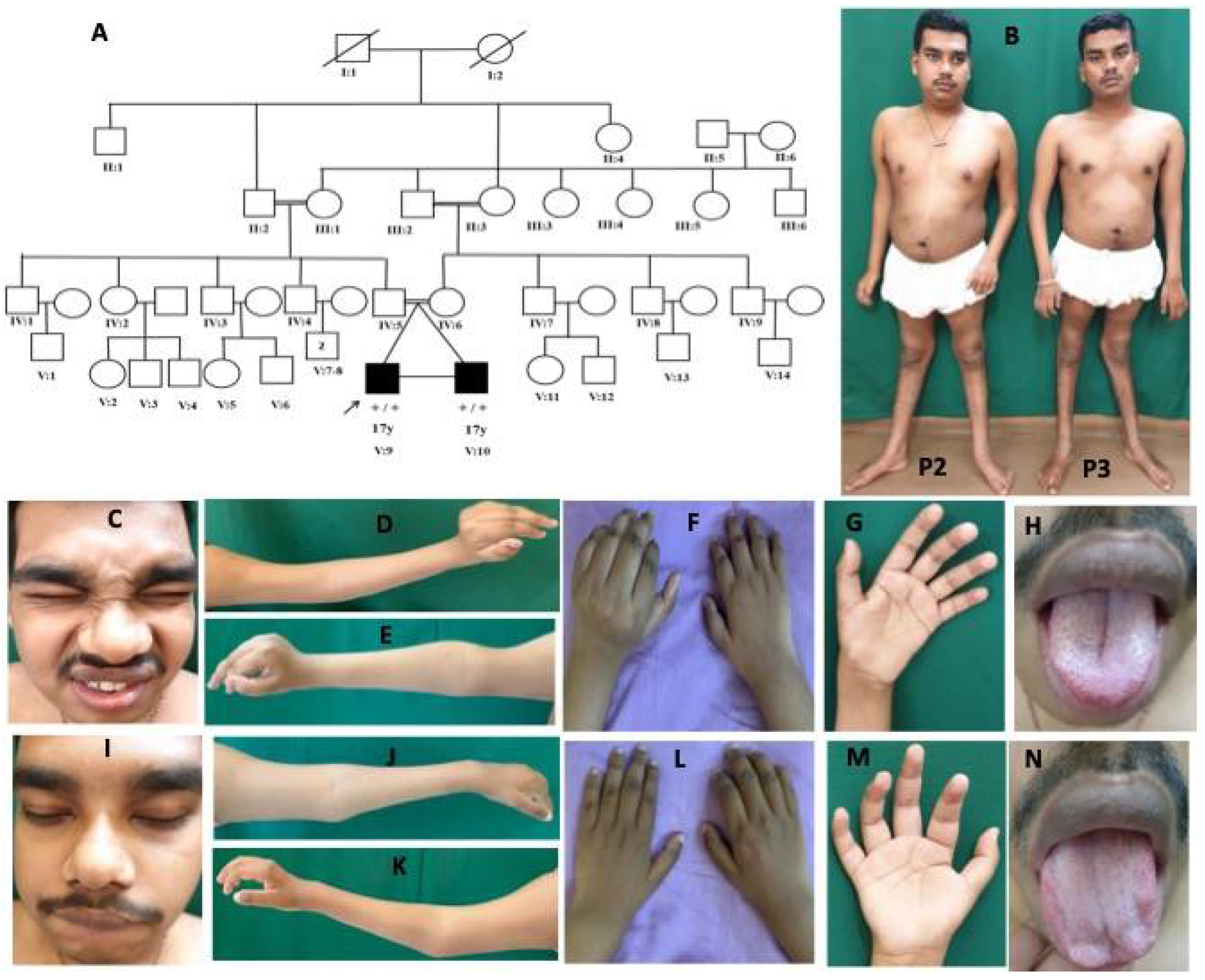 Children 08 00909 g003