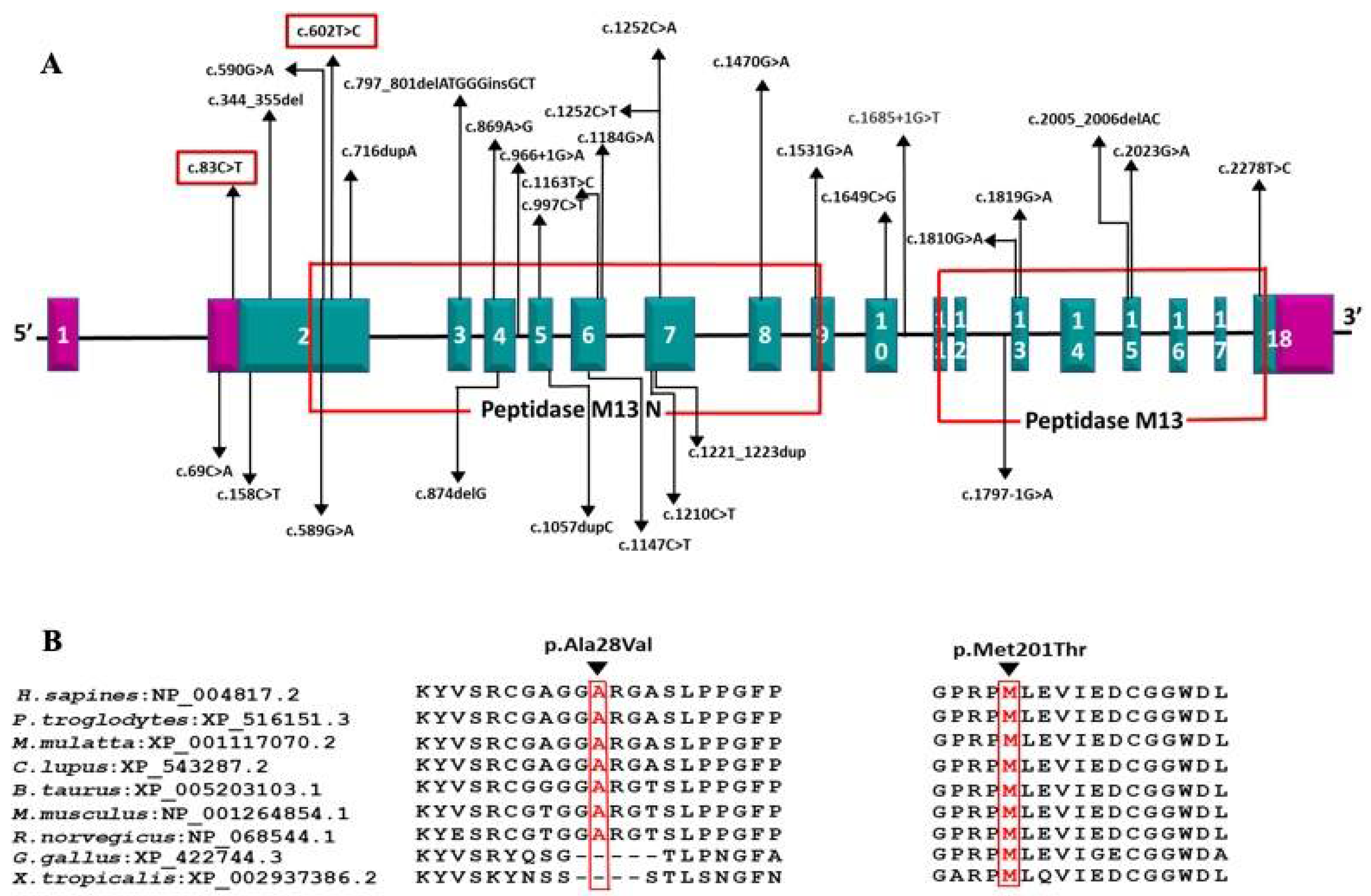 Children 08 00909 g004