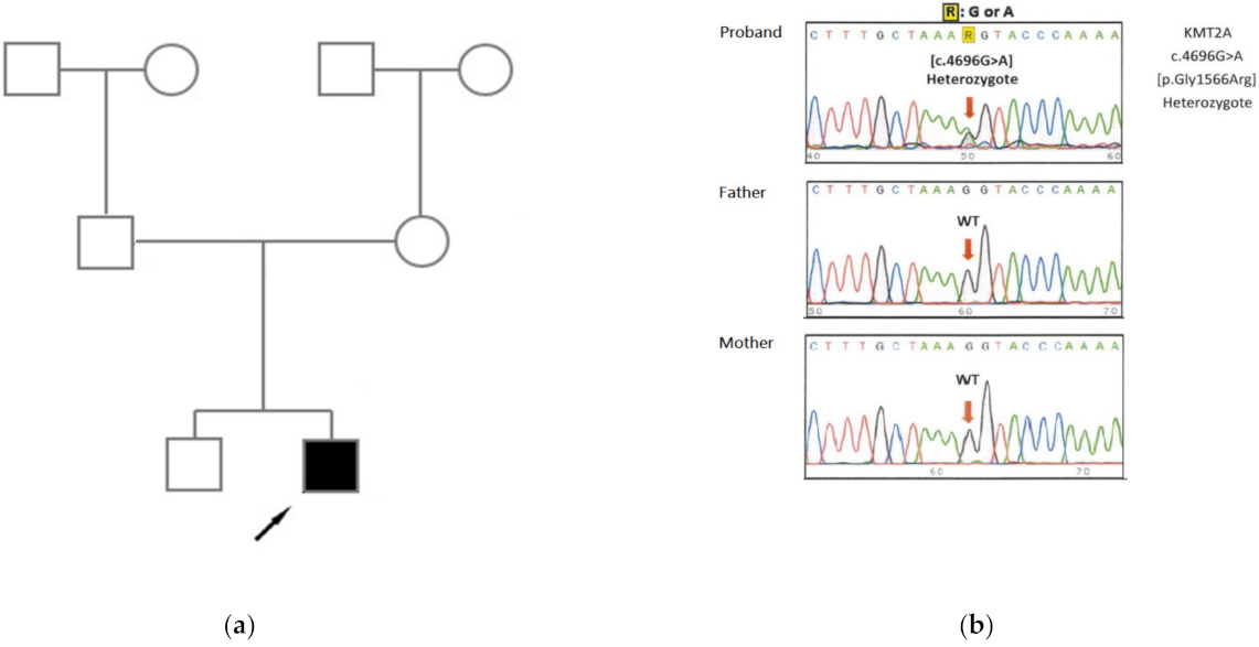 Children 08 00952 g002