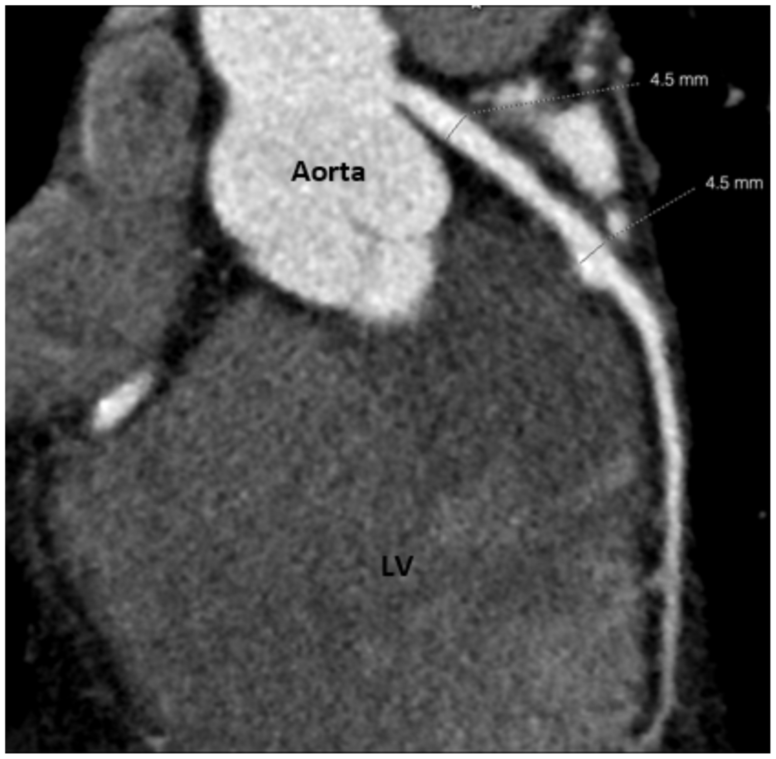 Children 08 00981 g002