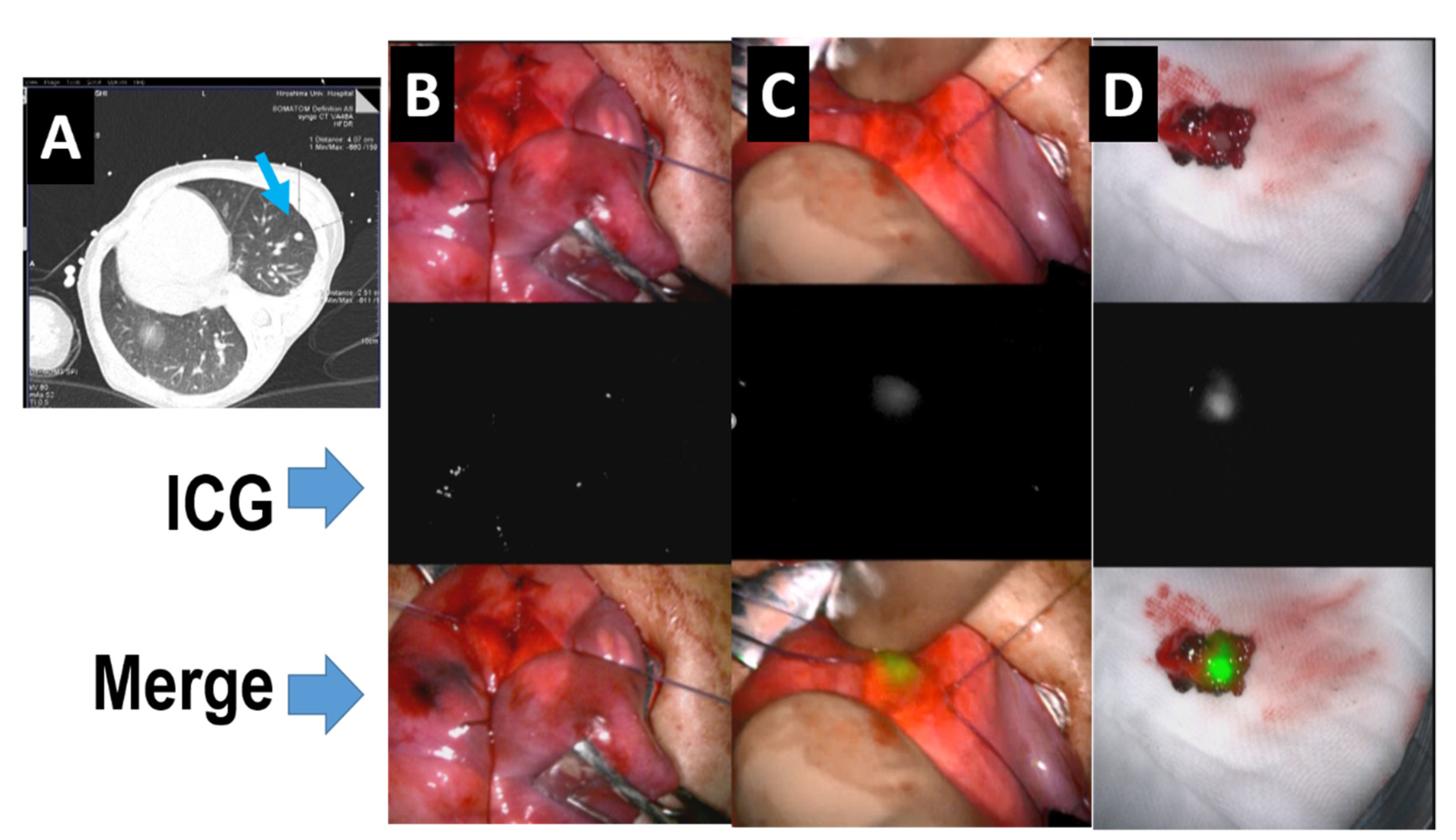 Children 08 01015 g004