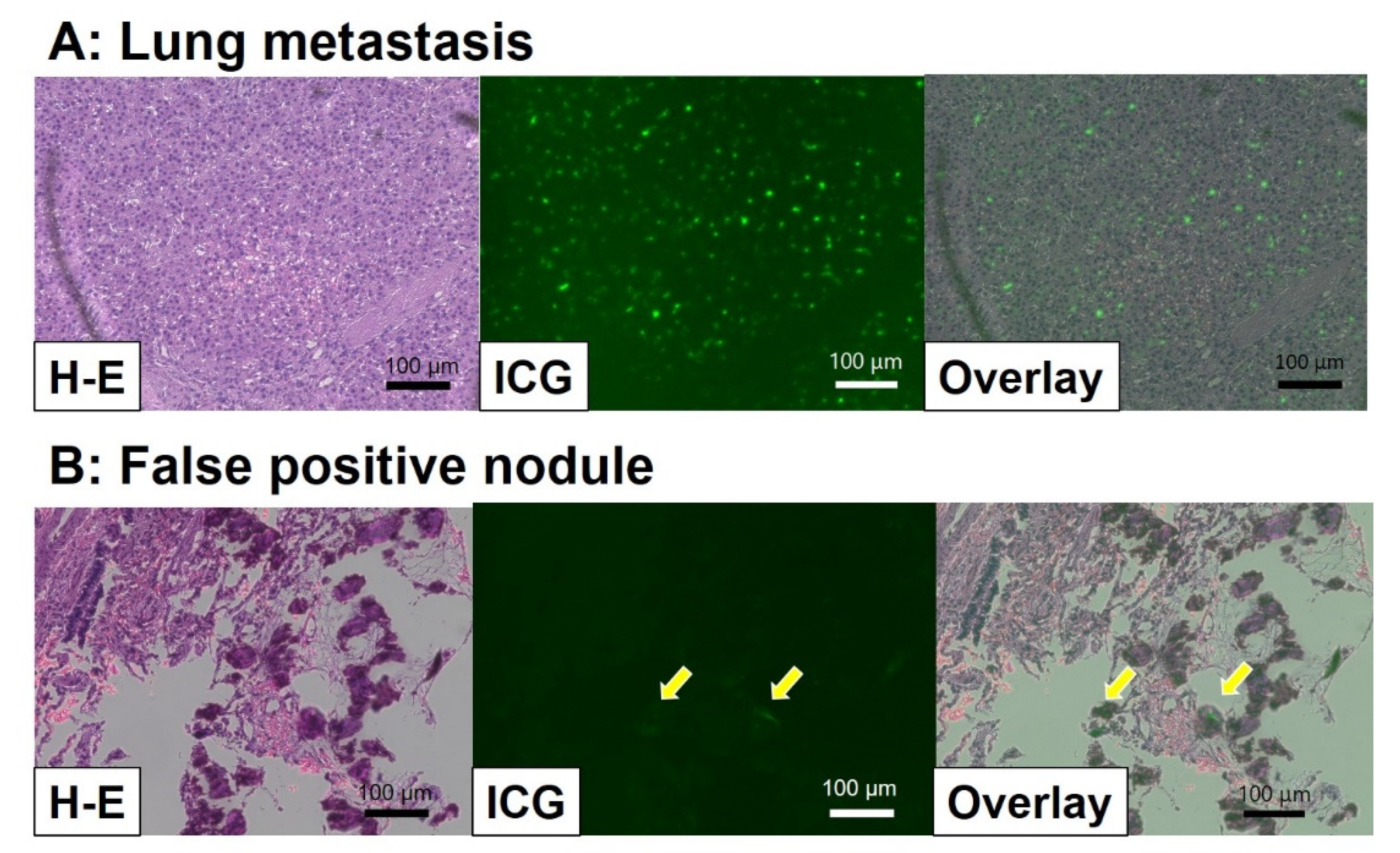 Children 08 01015 g005