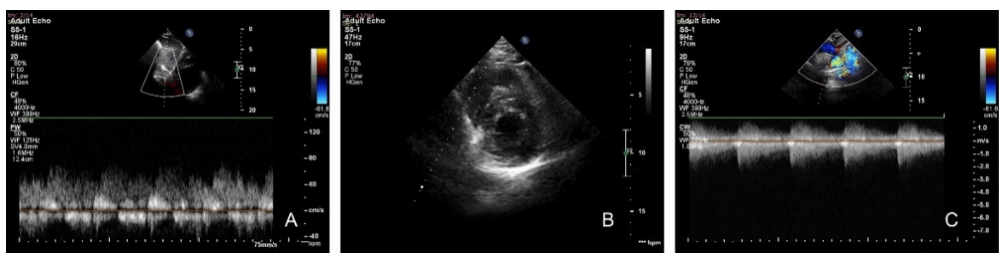 Children 08 01018 g002