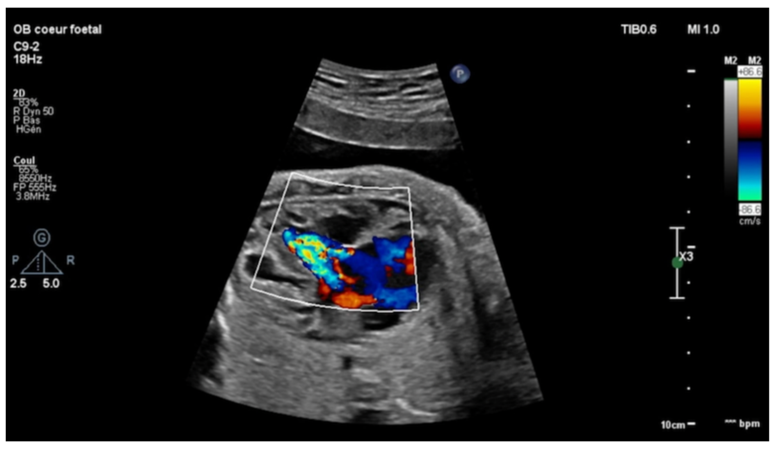 Children 08 01029 g001