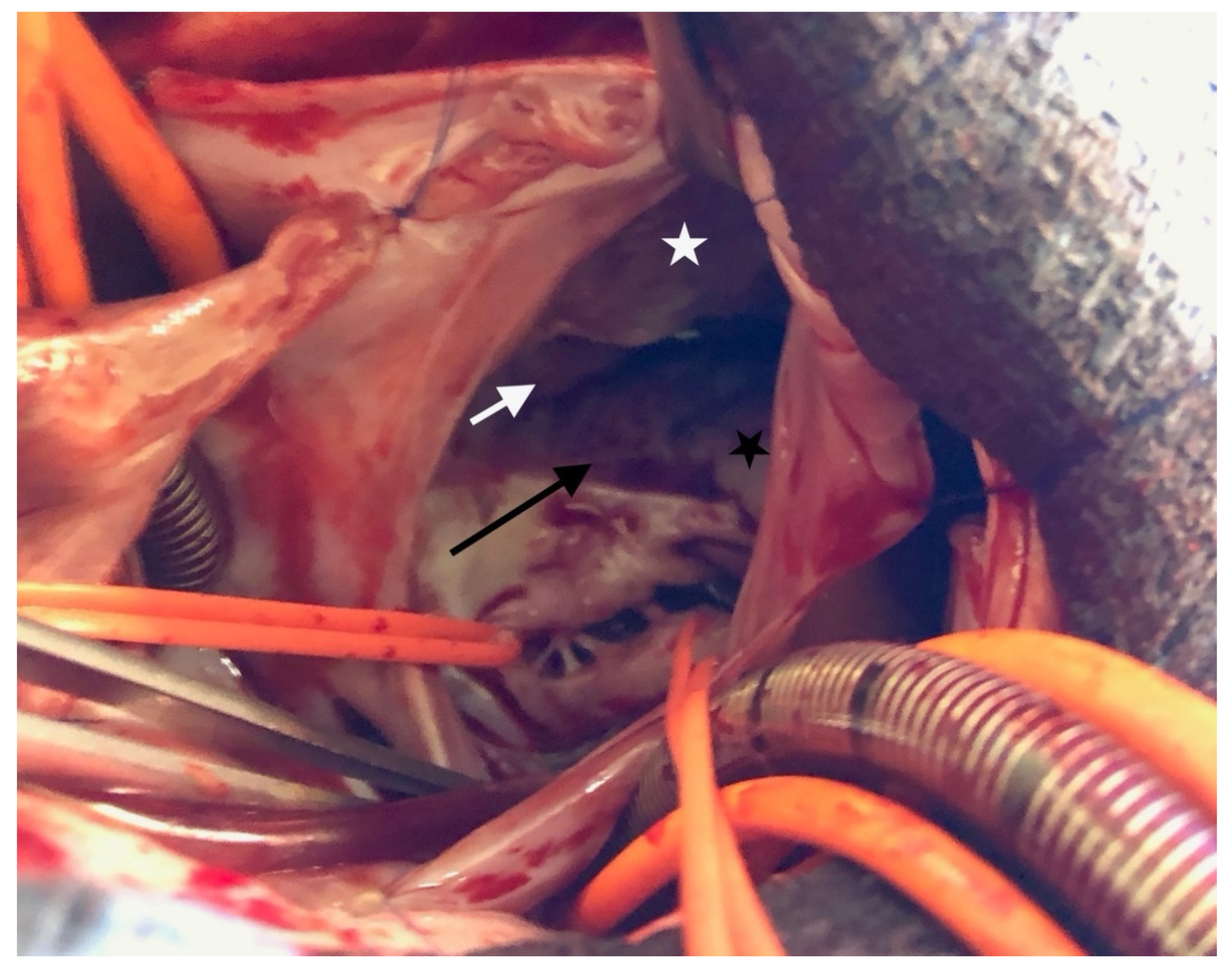 Children 08 01029 g003