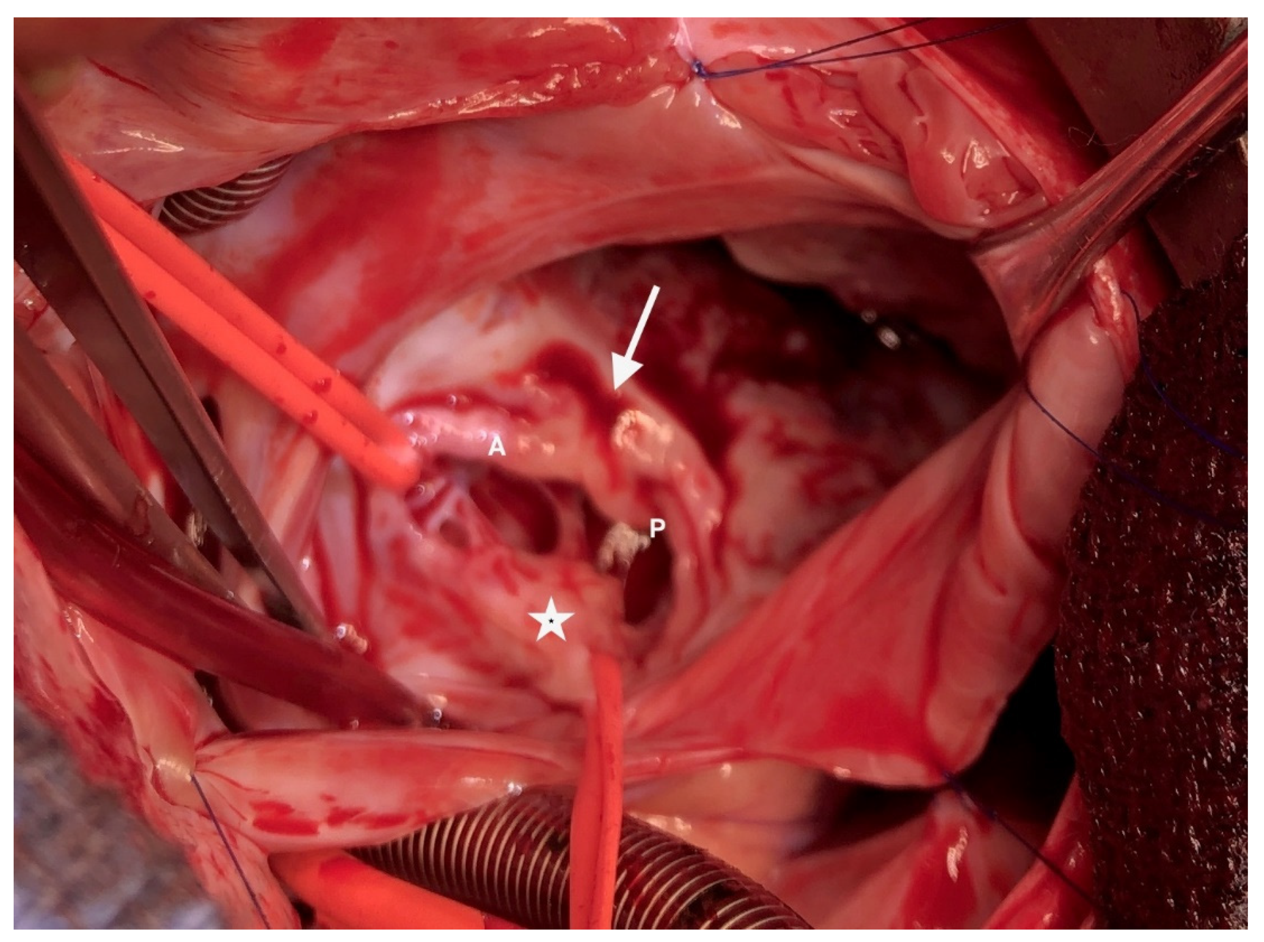 Children 08 01029 g004