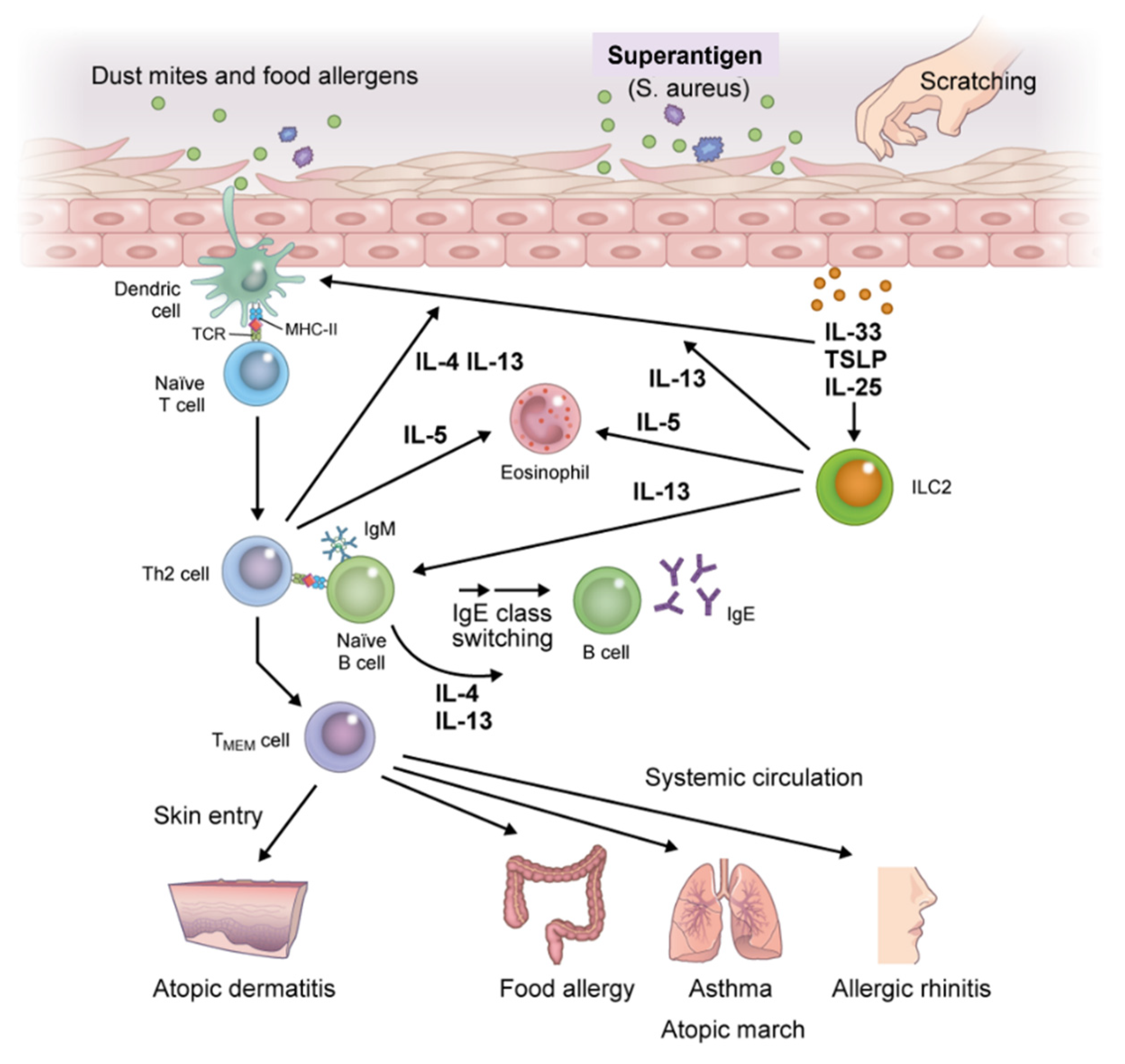 Children 08 01067 g003